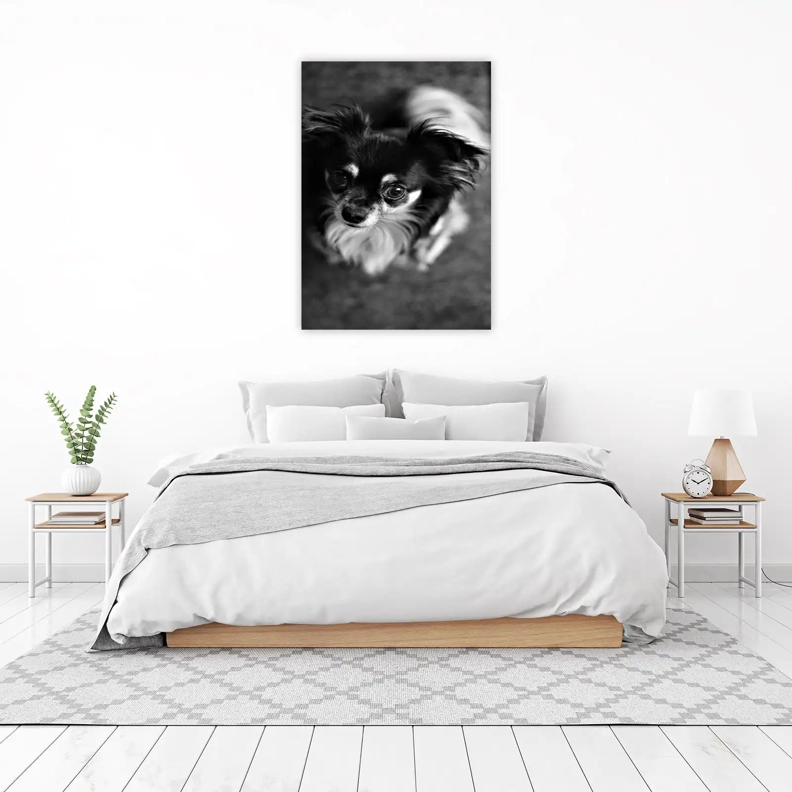 Soulful Chihuahua Eyes B&W Wall Art