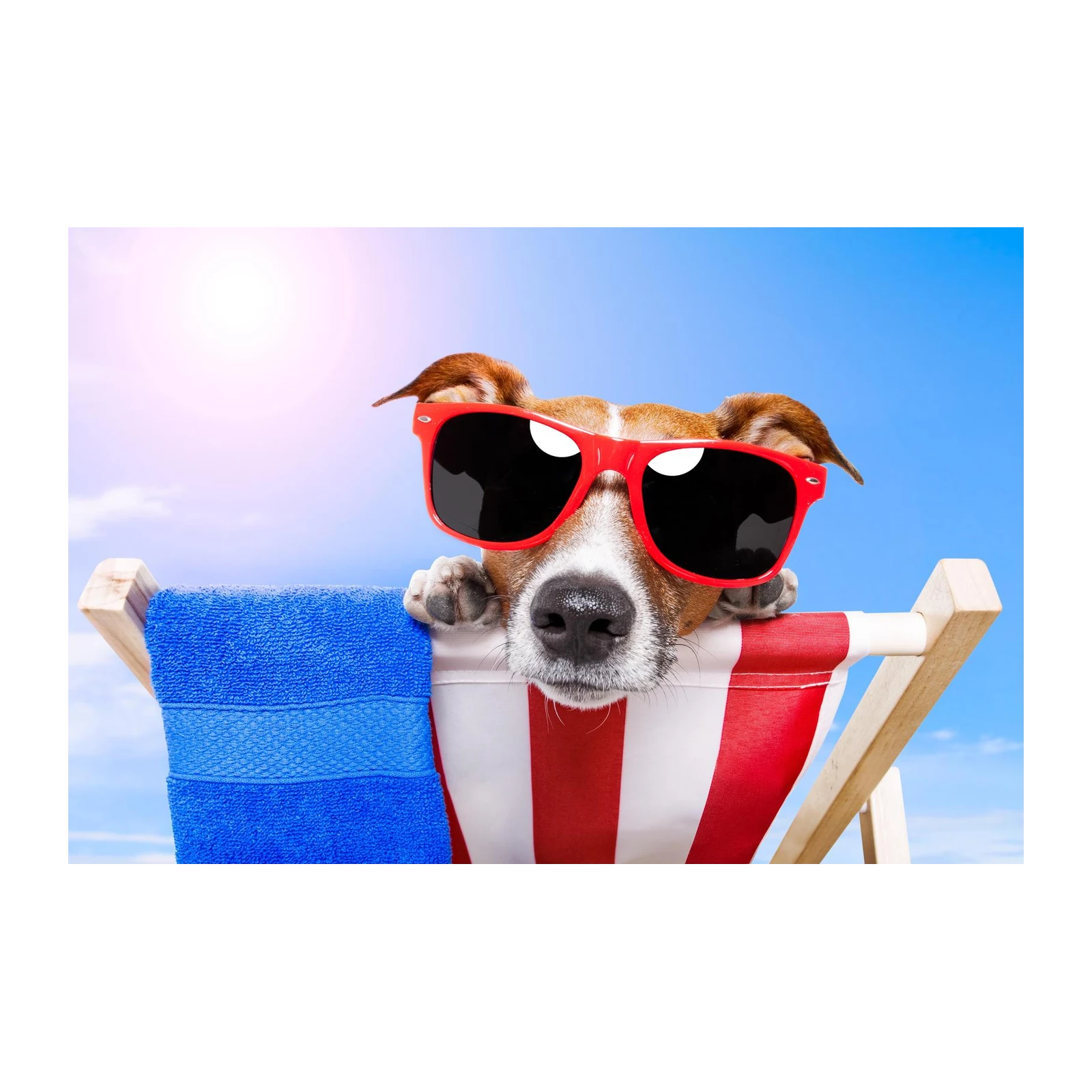 Cool Dog in Sunglasses Beach Vibes Wall Art