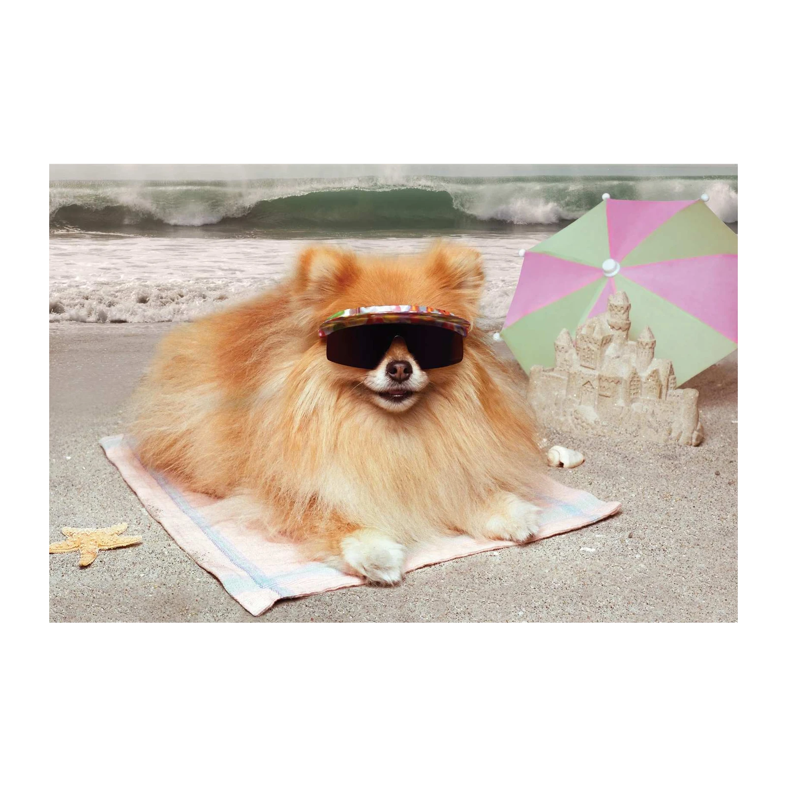 Cool Dog Beach Vibes Wall Art
