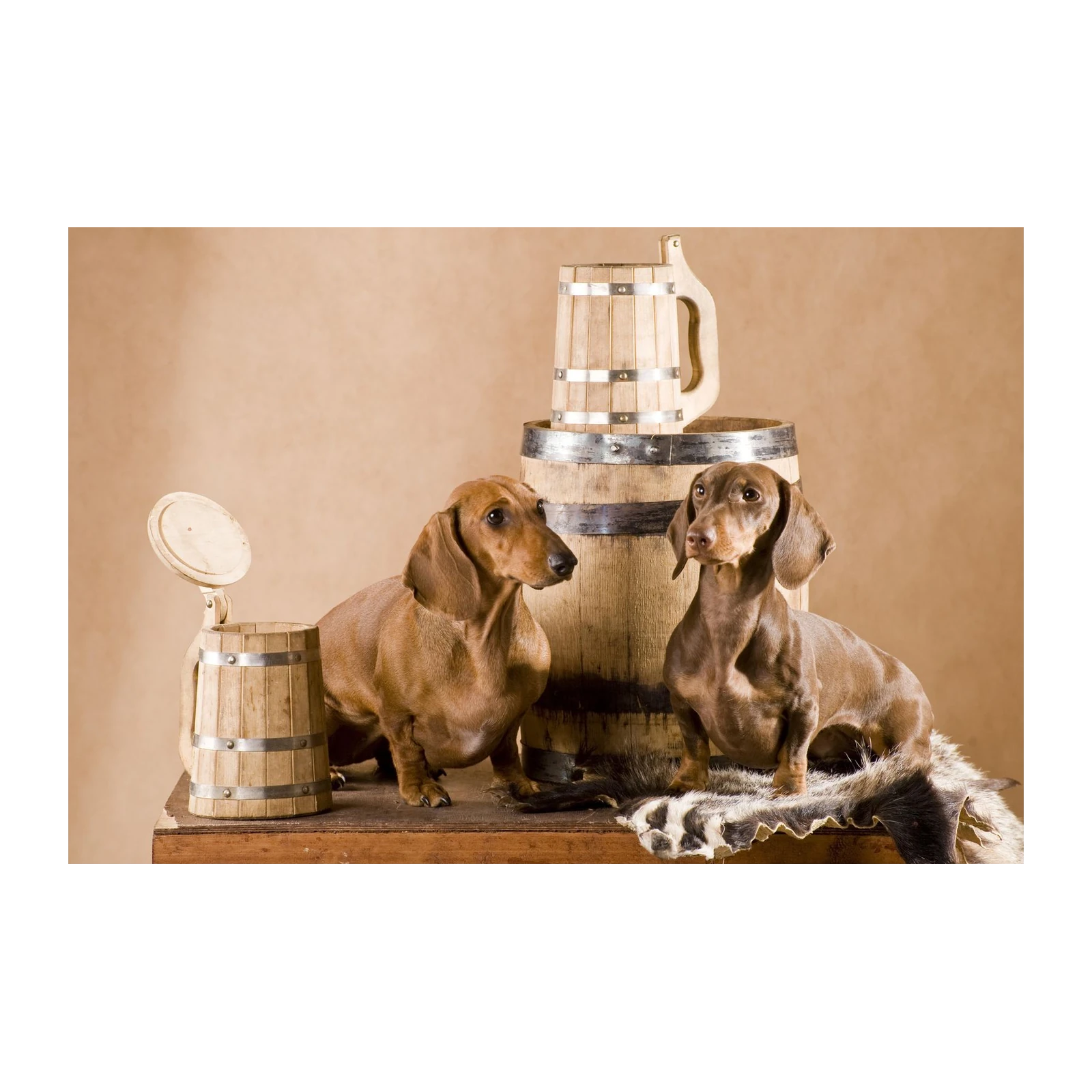 Charming Dachshunds with Beer Mugs Wall Art