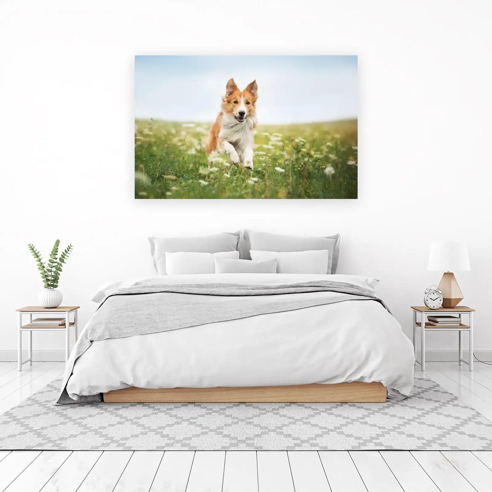 Joyful Border Collie Field Run Wall Art