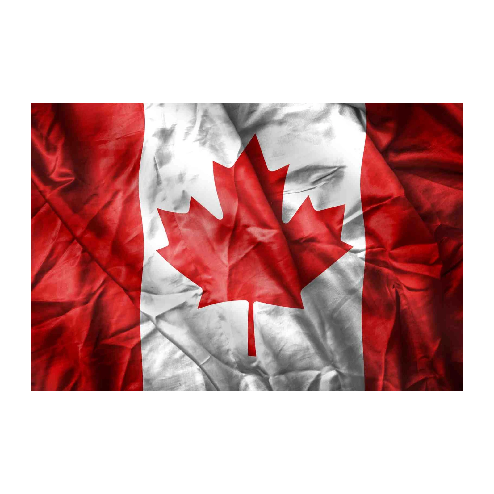 Canadian Maple Leaf Flag Wall Art Art