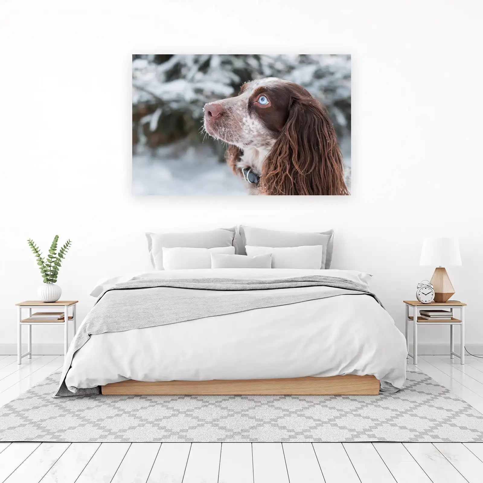 Blue-Eyed Snow Dog Wall Art
