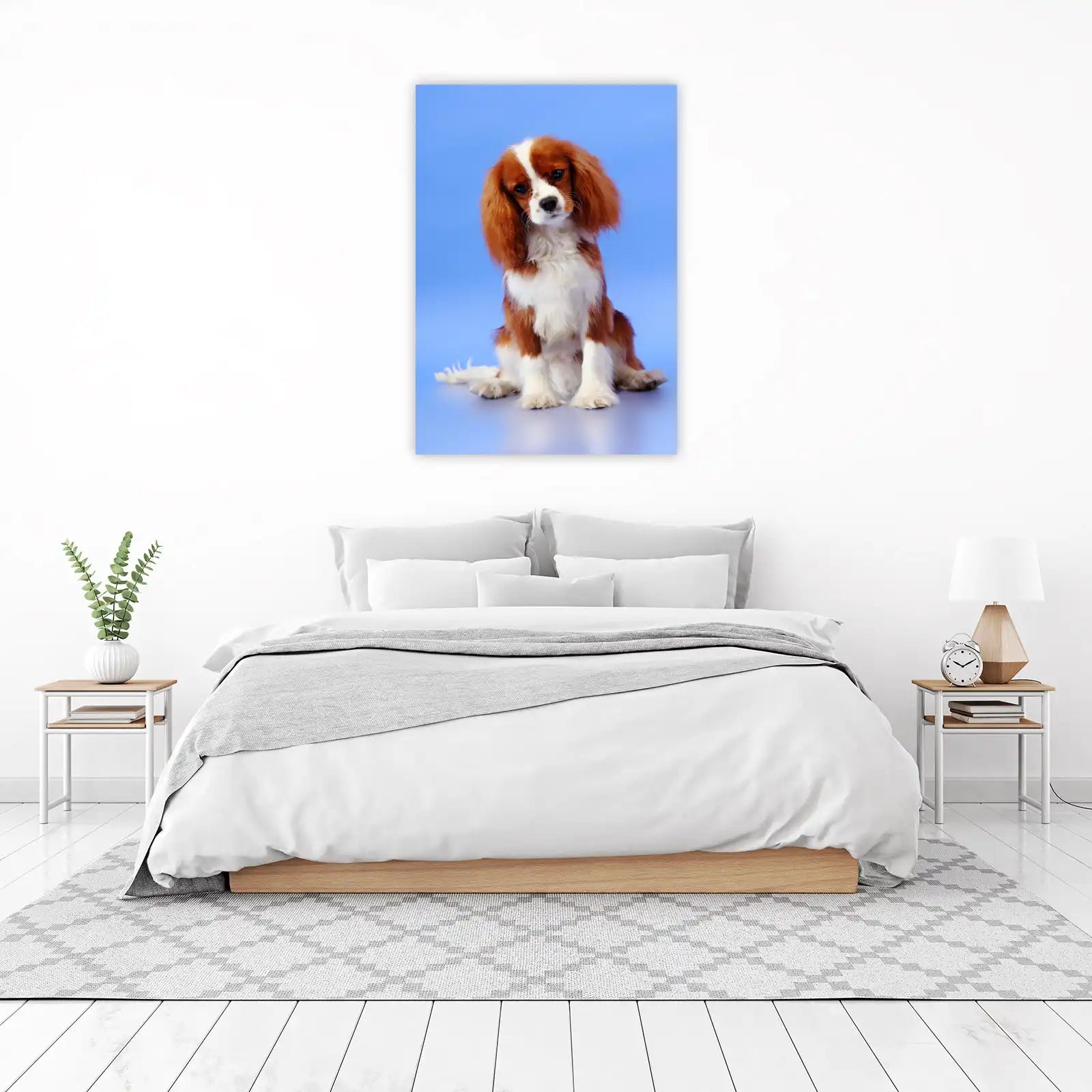 Adorable Cavalier King Charles Spaniel Wall Art