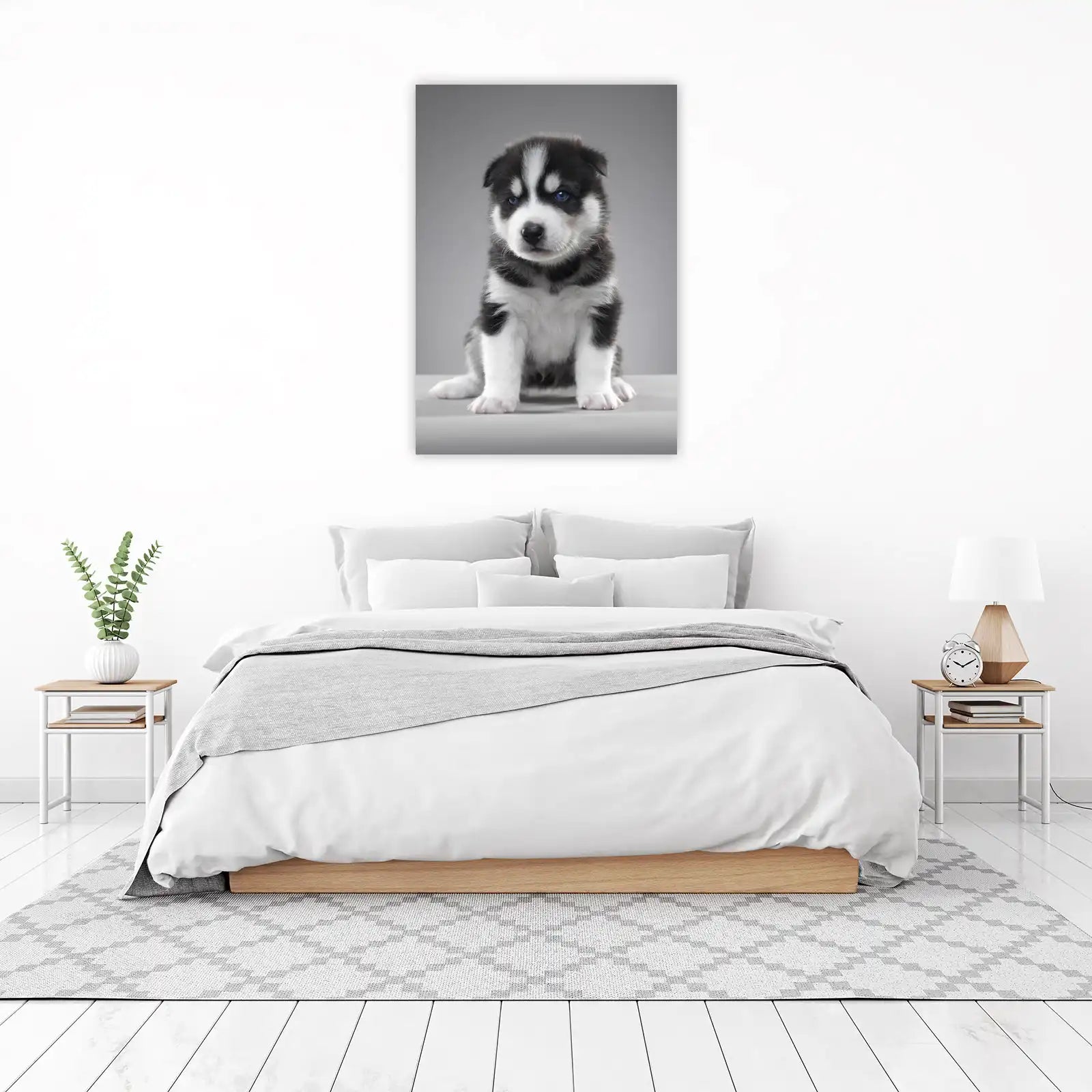 Adorable Husky Puppy Blue Eyes Wall Art