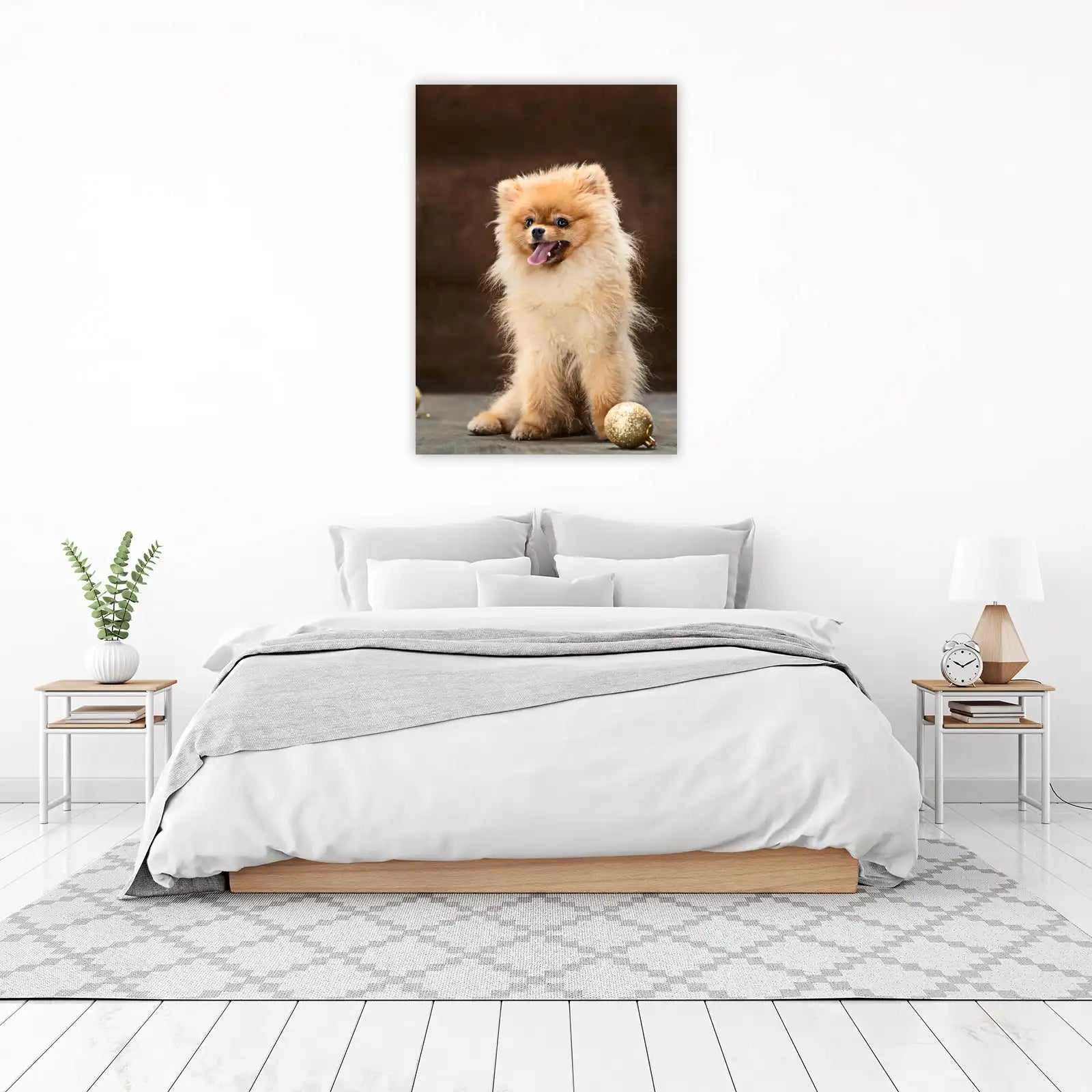 Adorable Pomeranian Fluff Wall Art
