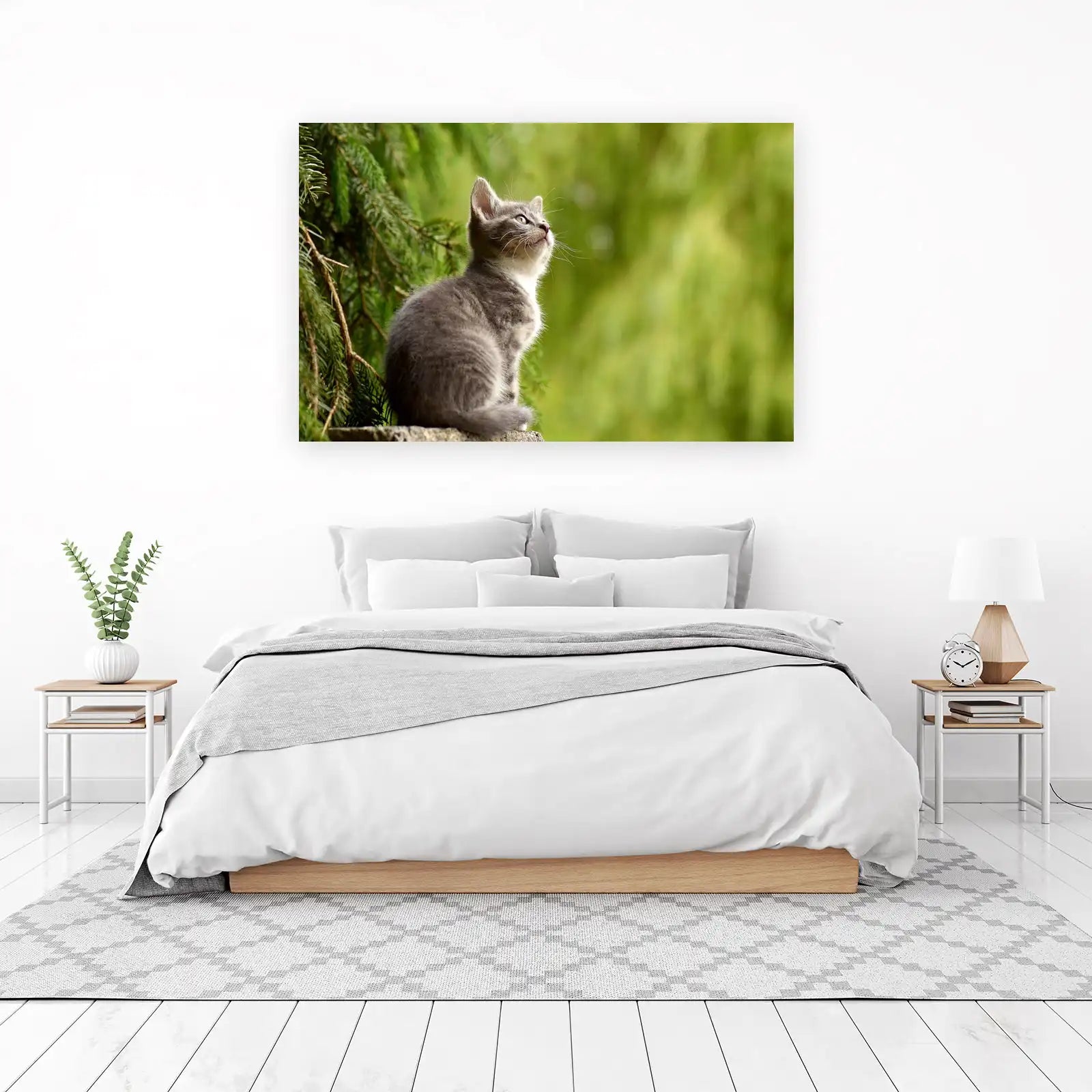 Curious Grey Kitten Nature Wall Art