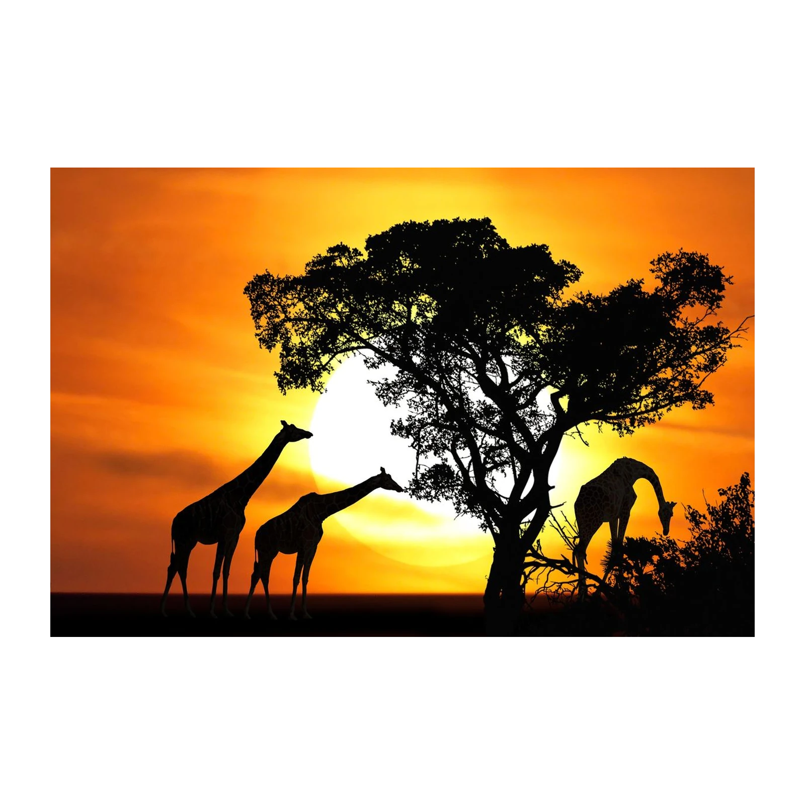Serene Giraffes Sunset African Savannah Wall Art