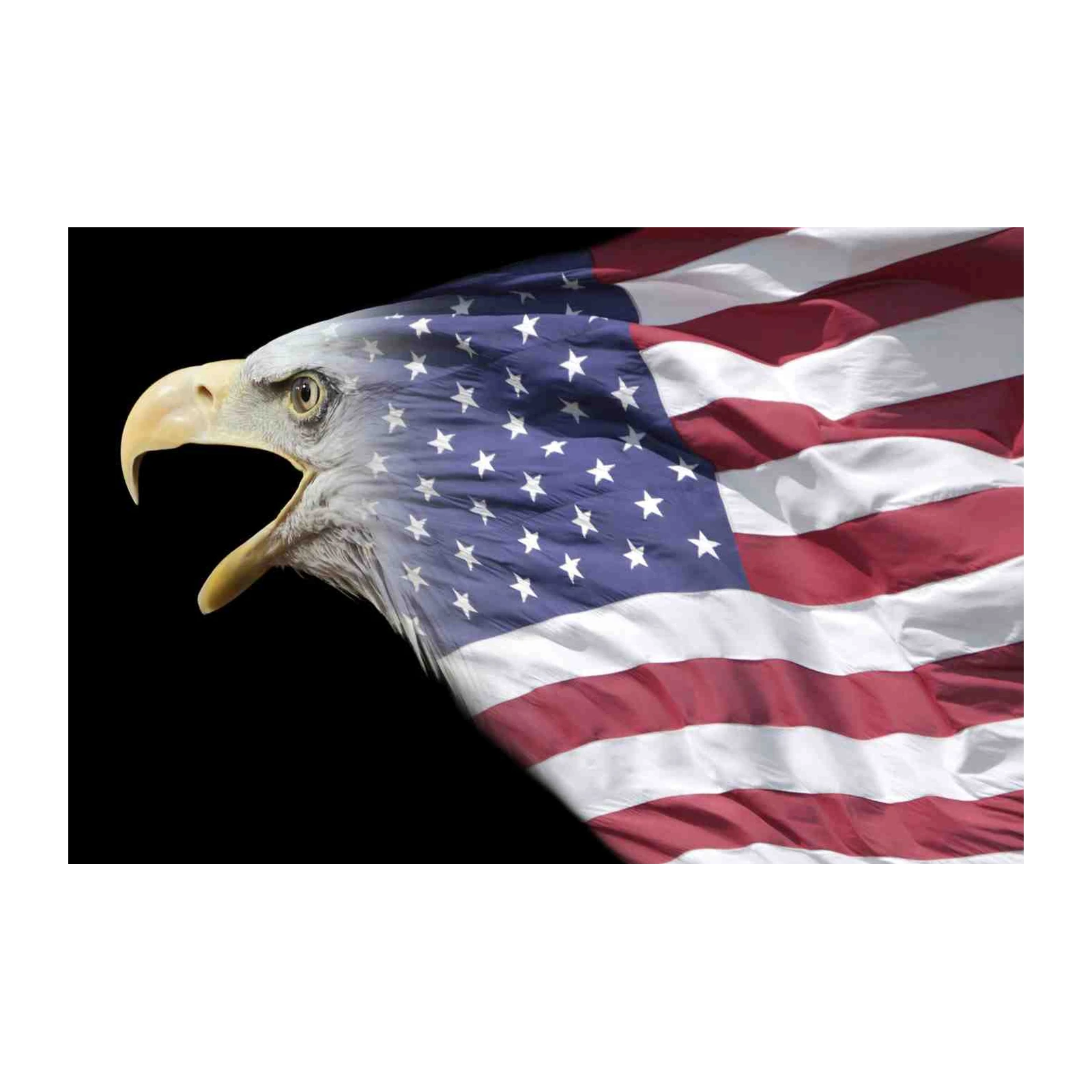 Majestic Eagle American Flag Wall Art