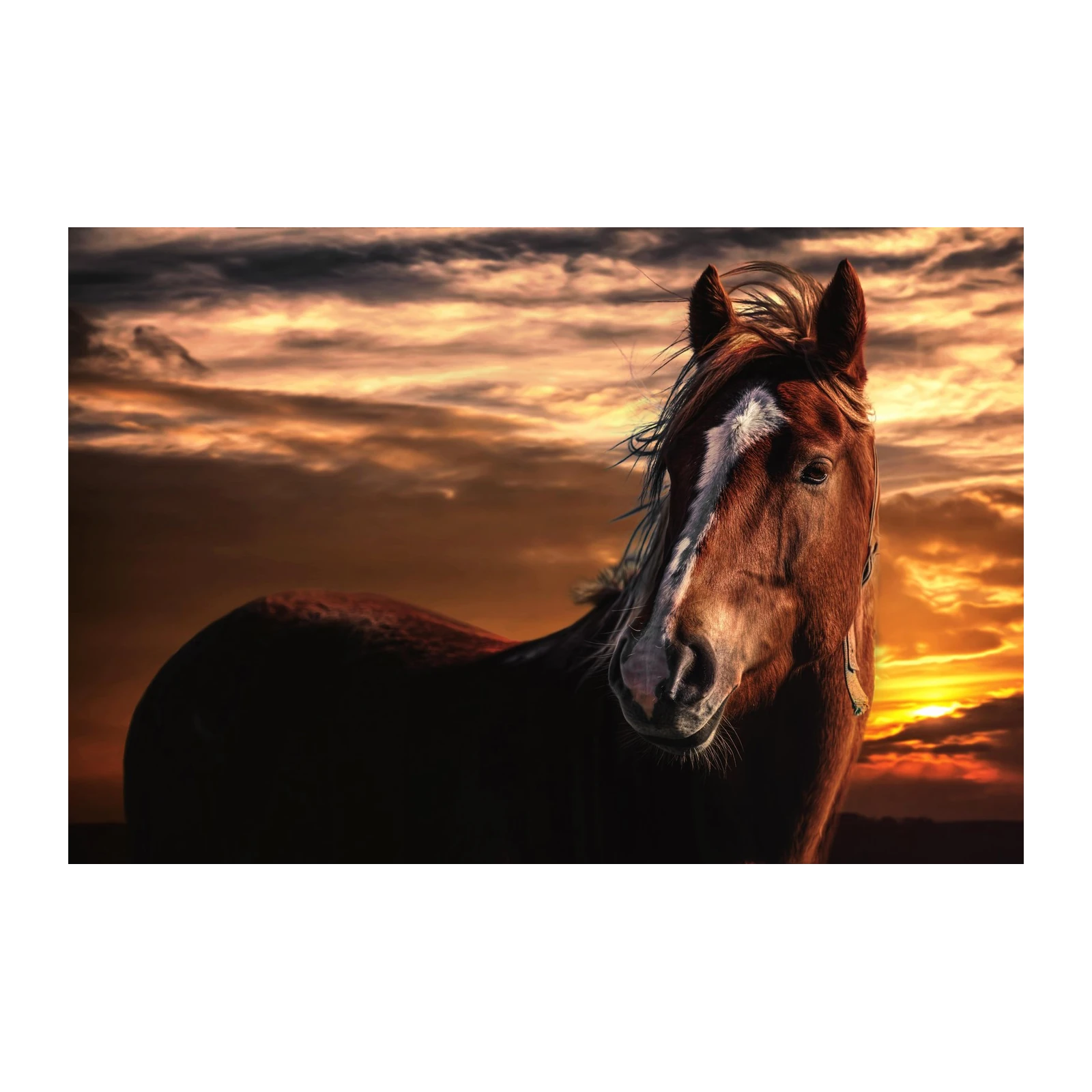 Majestic Horse Sunset Wall Art Wall Art