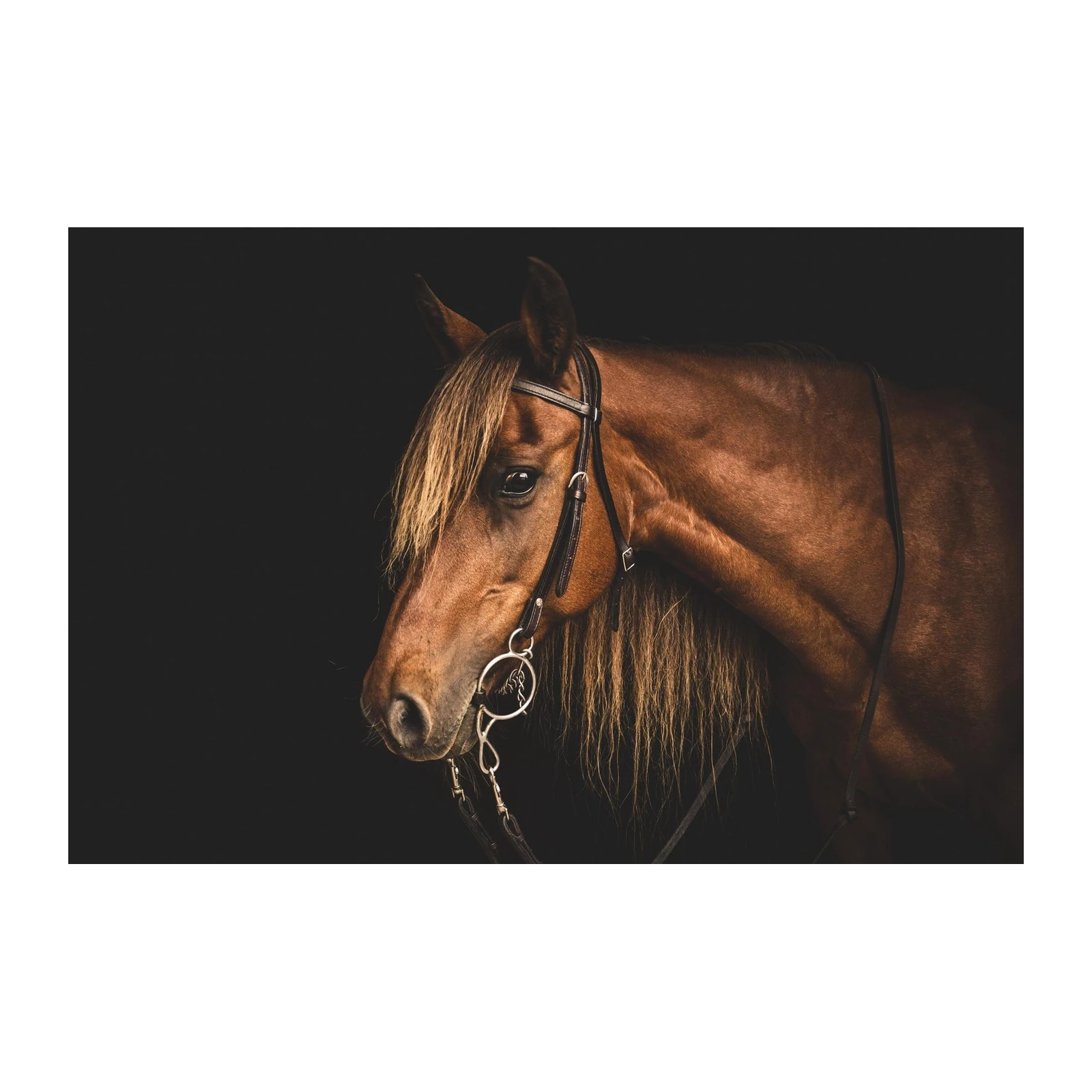 Majestic Chestnut Horse Portrait Wall Art