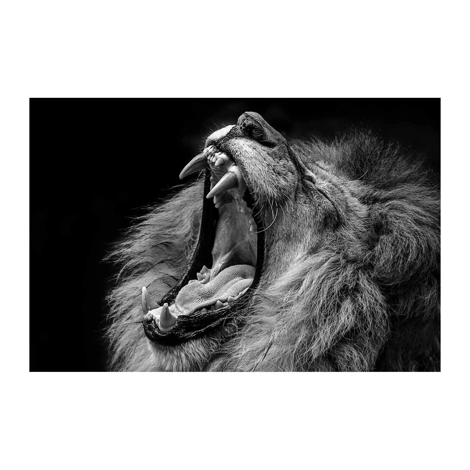Majestic Lion Roar BW Wall Art