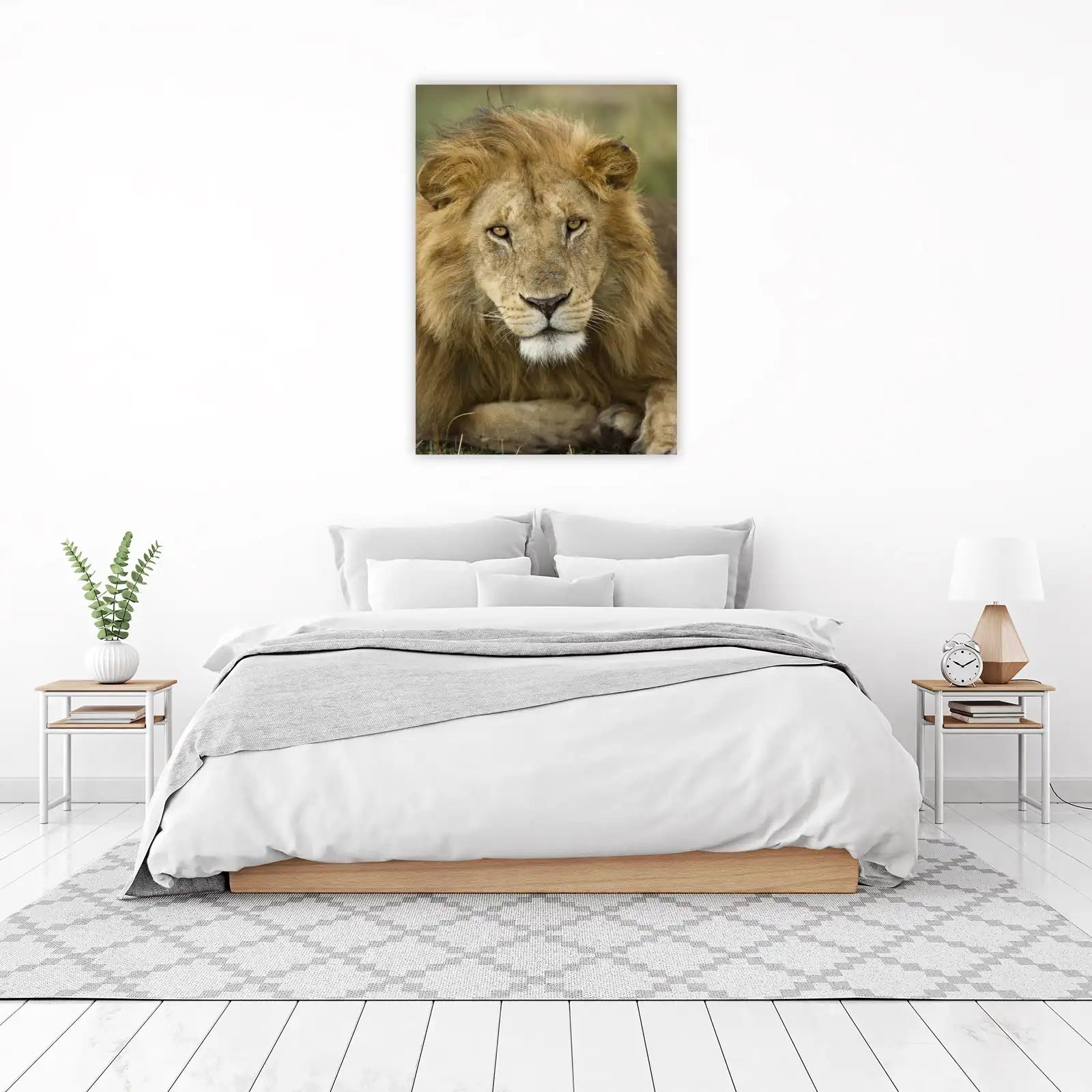 Majestic Lion Close-Up Wall Art - Wildlife Wall Art