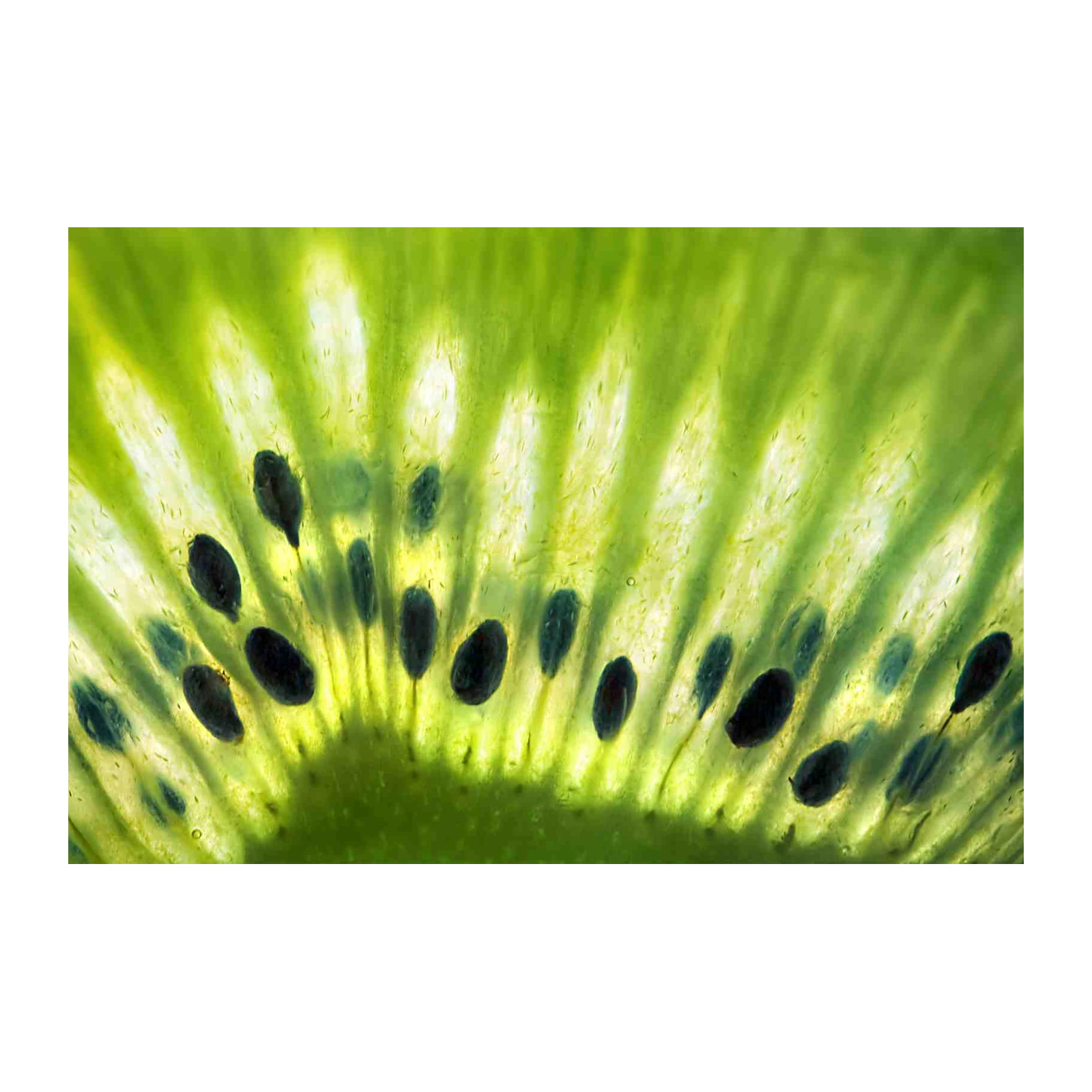Vibrant Kiwi Slice Macro Art Wall Art