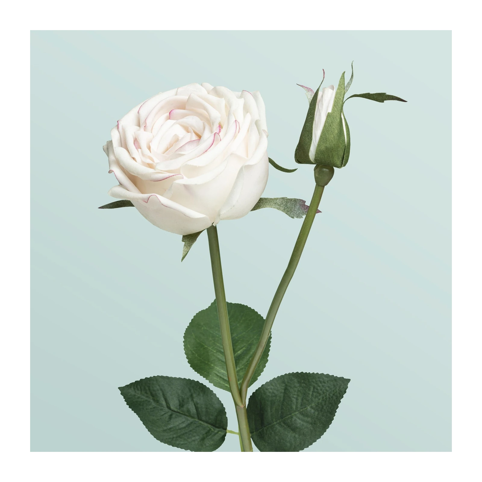 Elegant White Rose Bud Wall Art