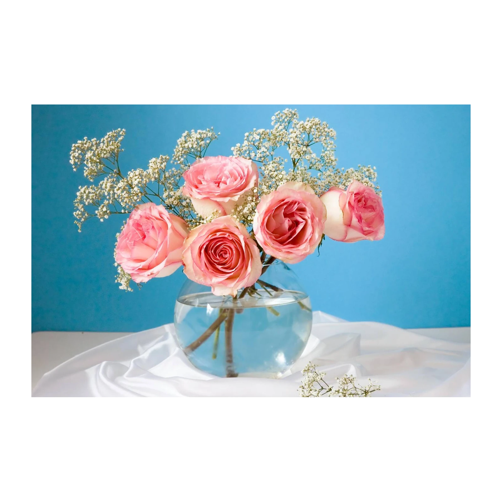 Blush Pink Roses & Baby's Breath Wall Art