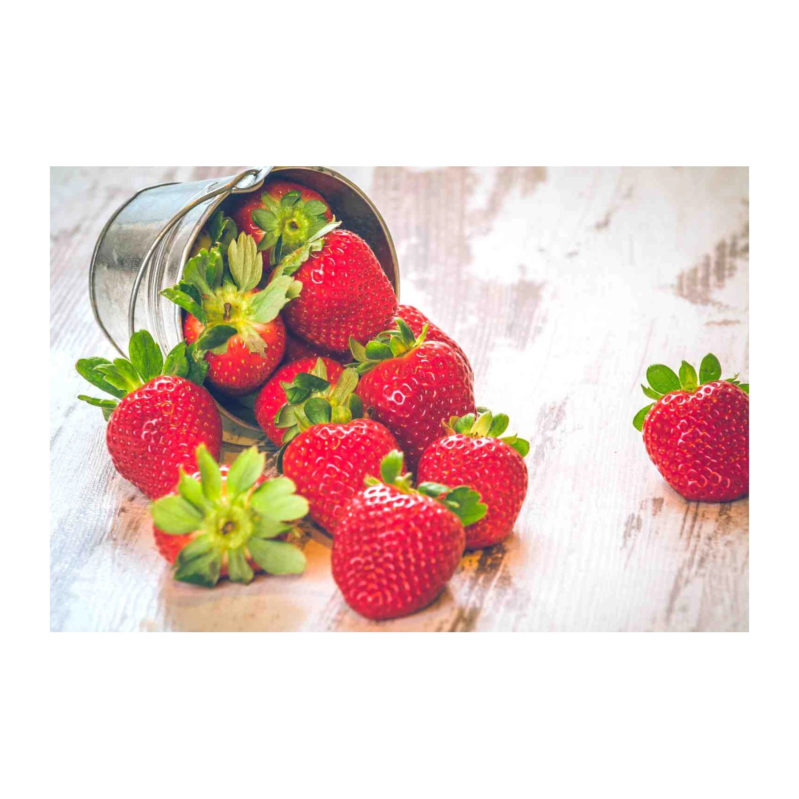 Fresh Strawberries Rustic Bucket Wall Art
