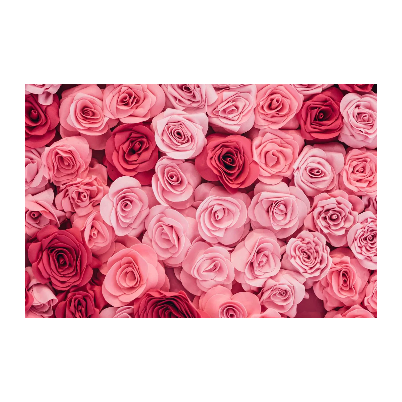 Romantic Pink Rose Floral Wall Art Wall Art