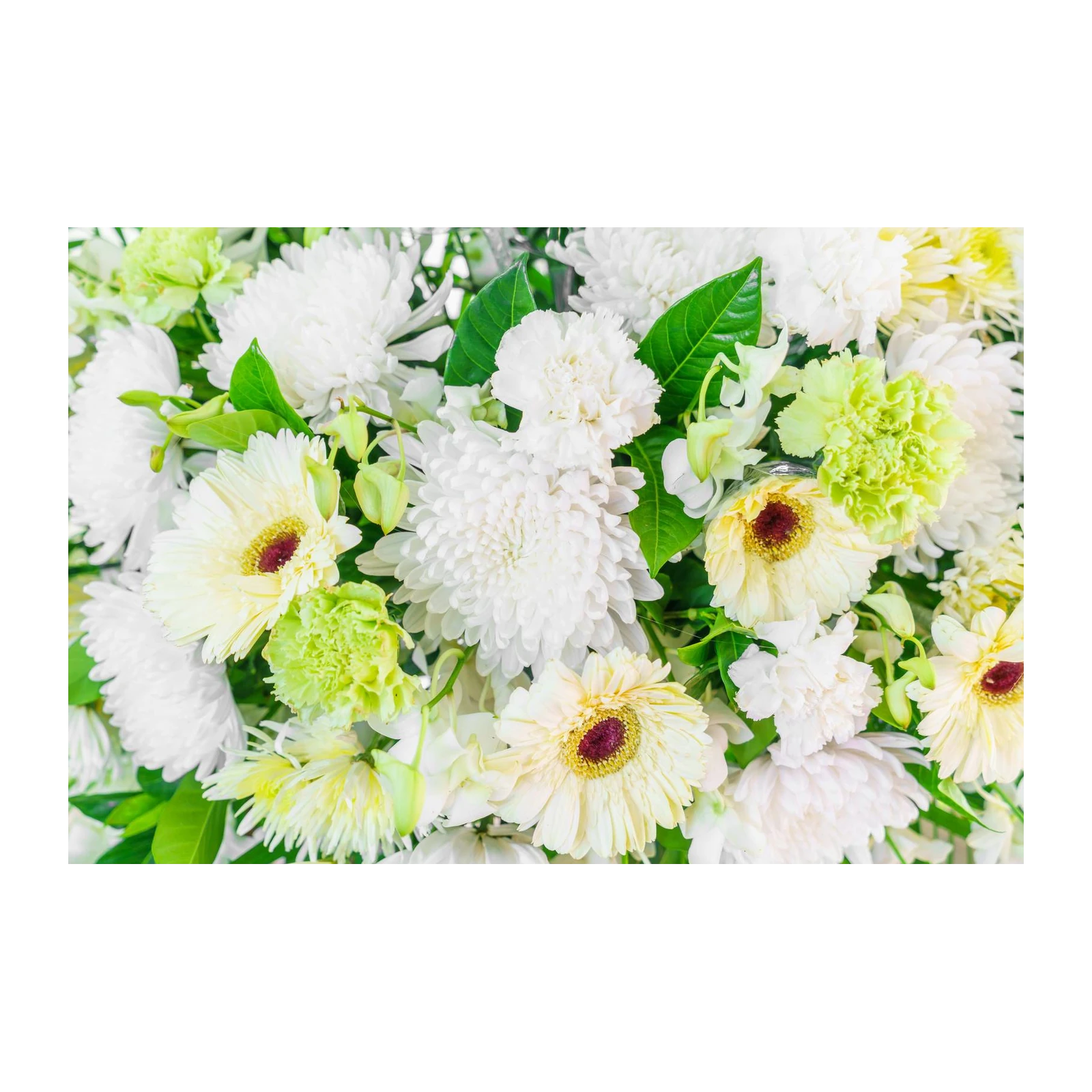 Serene White & Green Floral Arrangement Wall Art