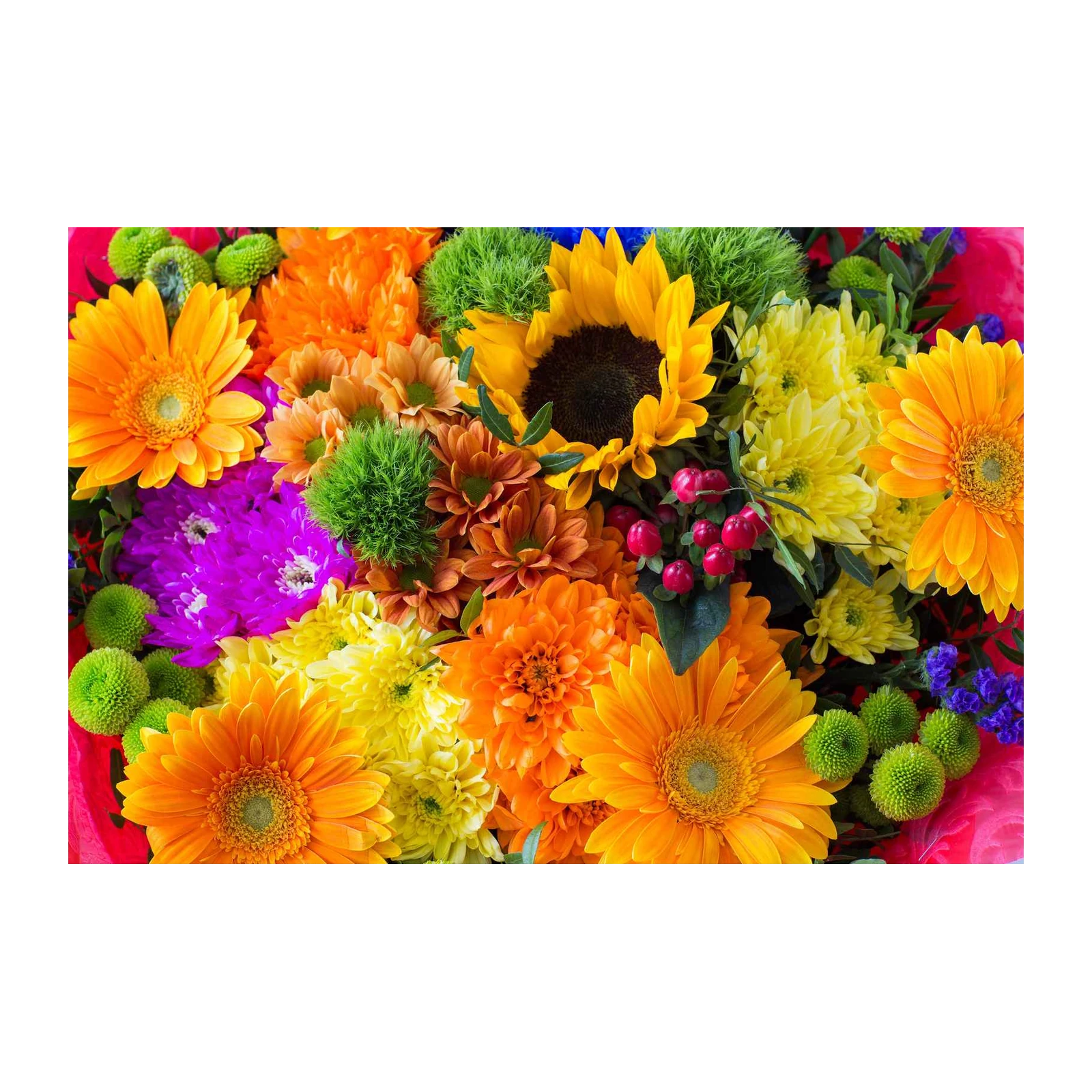 Vibrant Floral Burst Wall Art