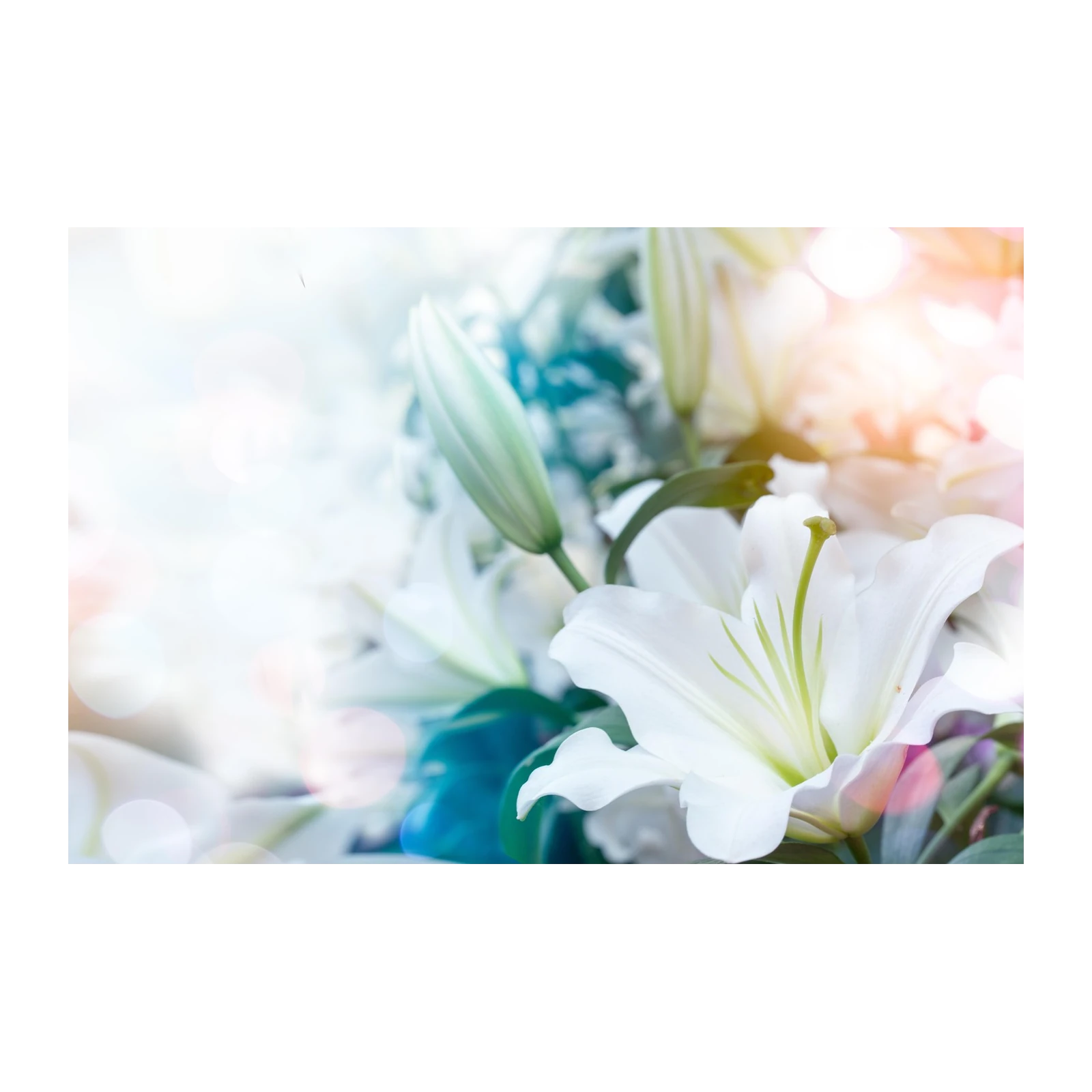 Elegant White Lily Floral Bliss Wall Art
