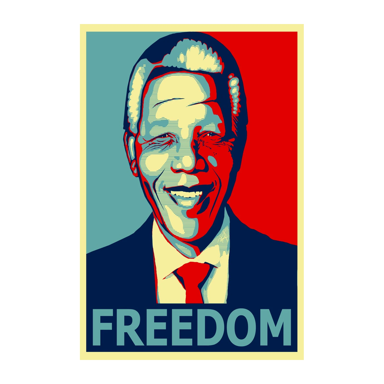 Nelson Mandela Freedom Poster Wall Art
