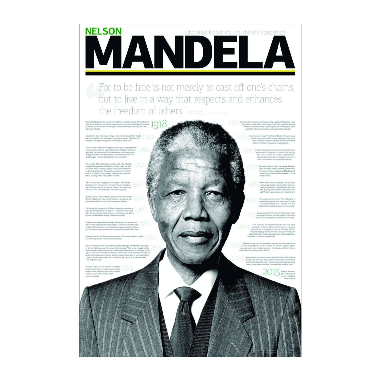 Nelson Mandela Iconic Portrait Wall Art
