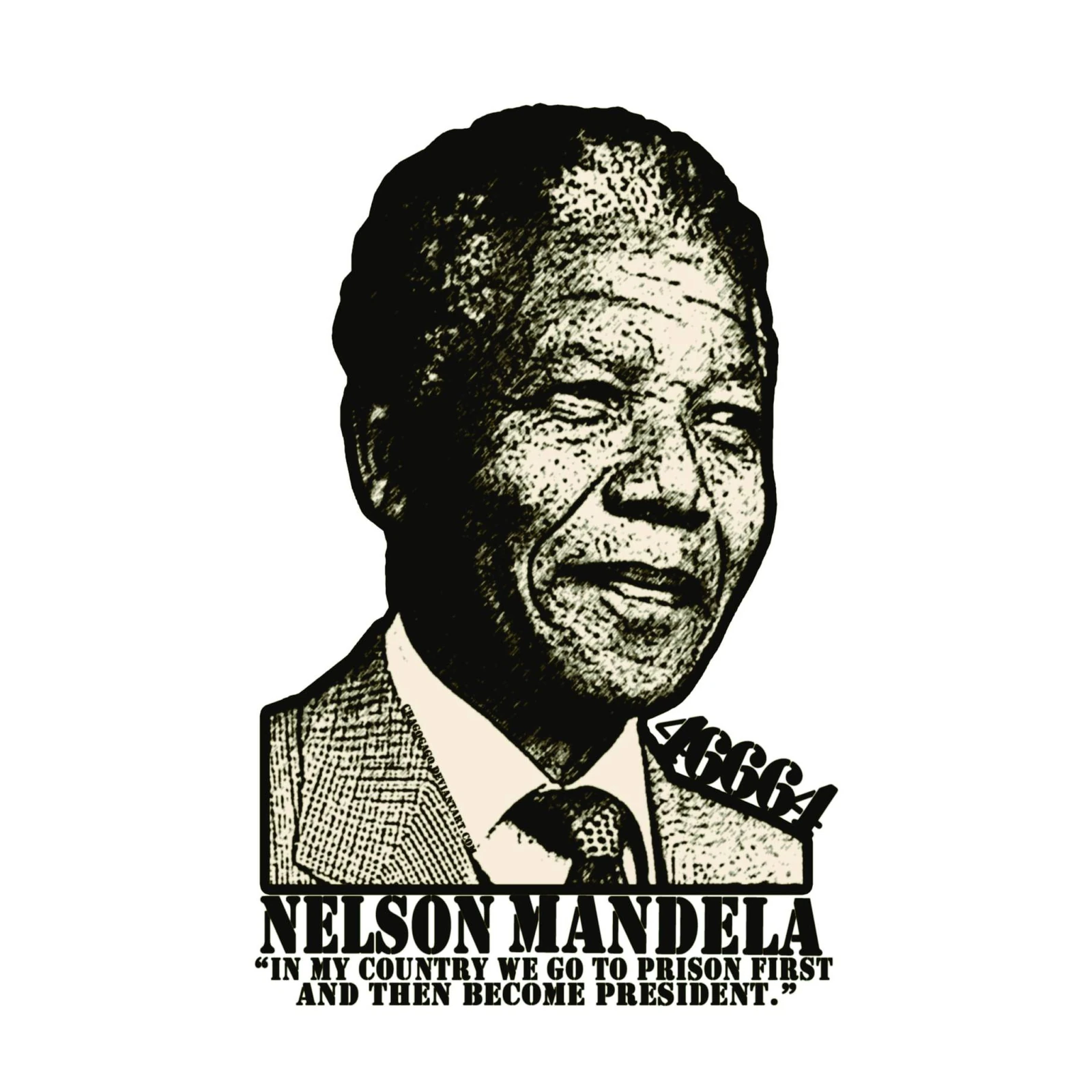 Nelson Mandela "46664" Quote Wall Art