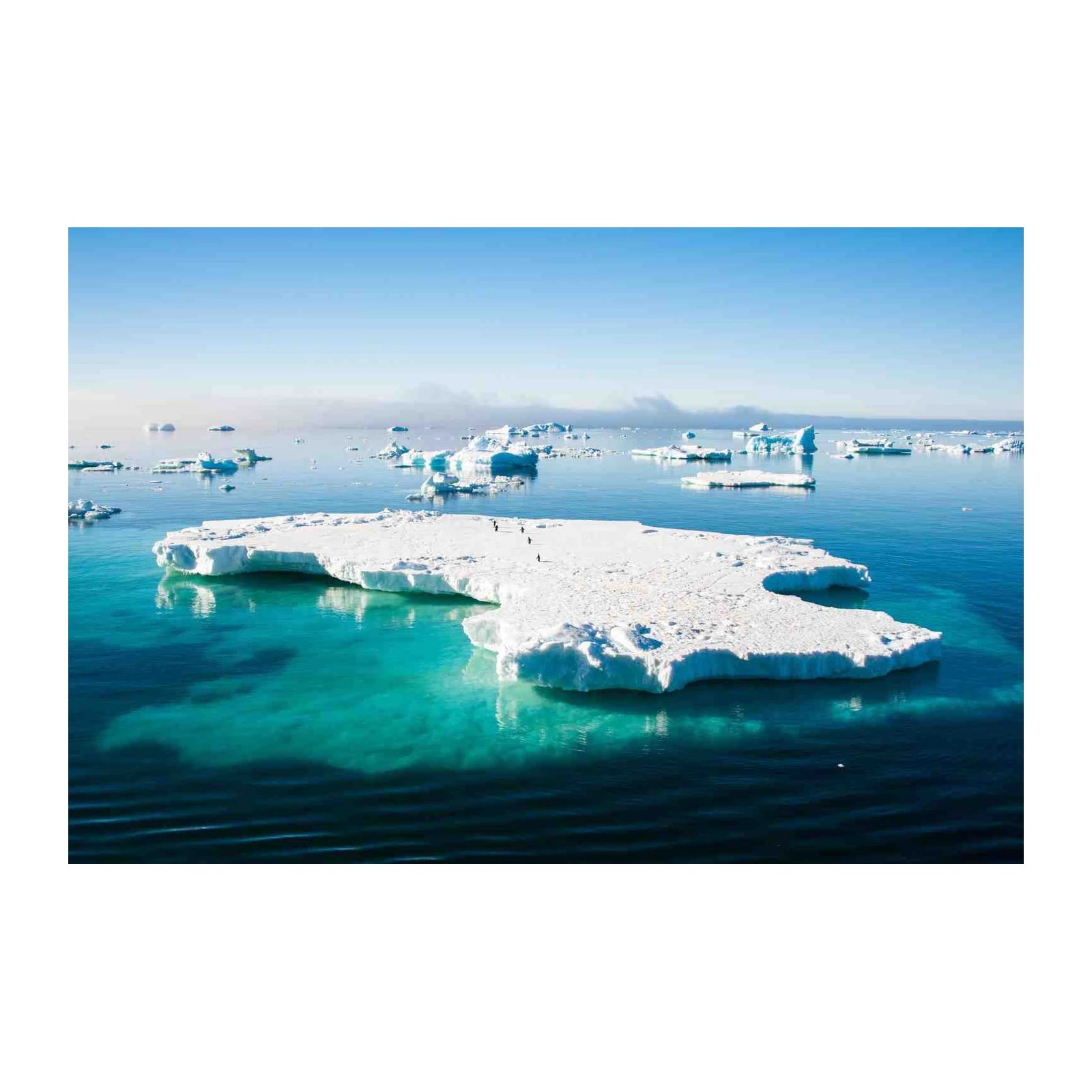 Serene Arctic Iceberg & Penguins Wall Art