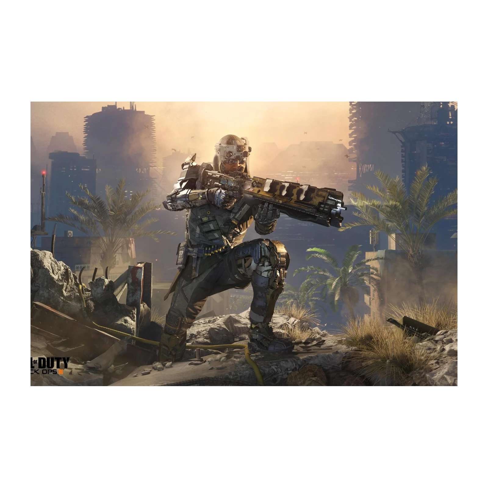 Call of Duty Black Ops Soldier Wall Art