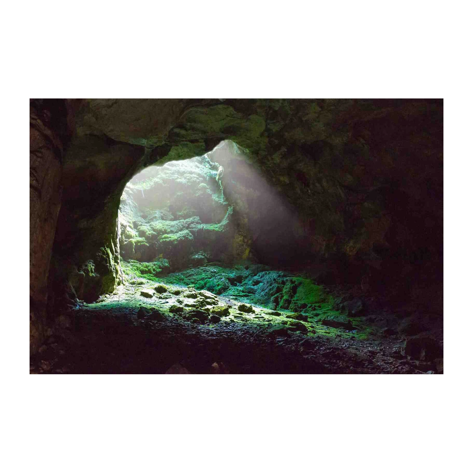 Enchanted Cave Nature Scene Wall Art