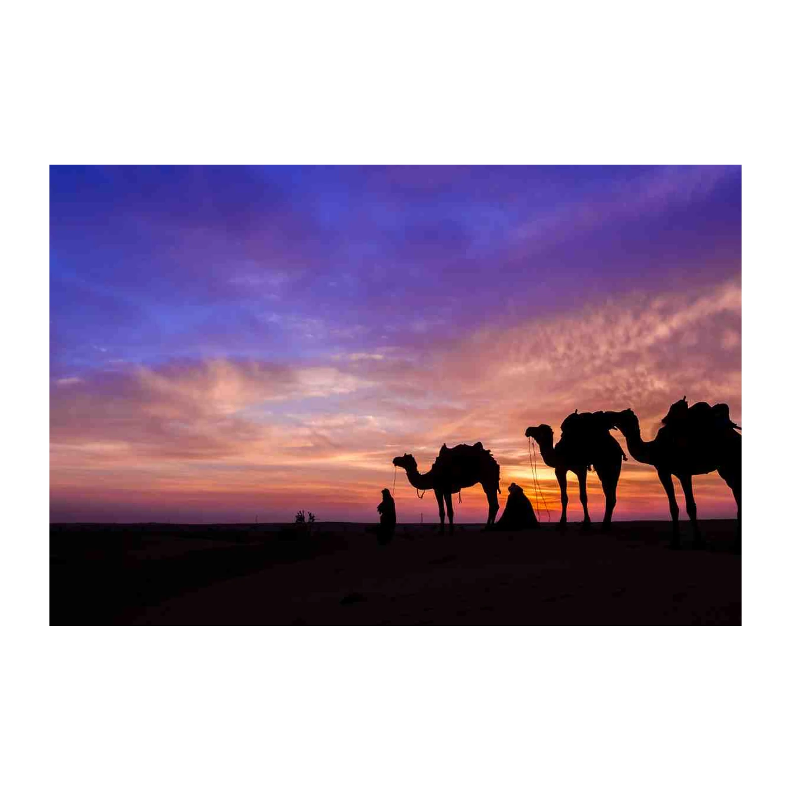Serene Desert Sunset Camel Caravan Wall Art