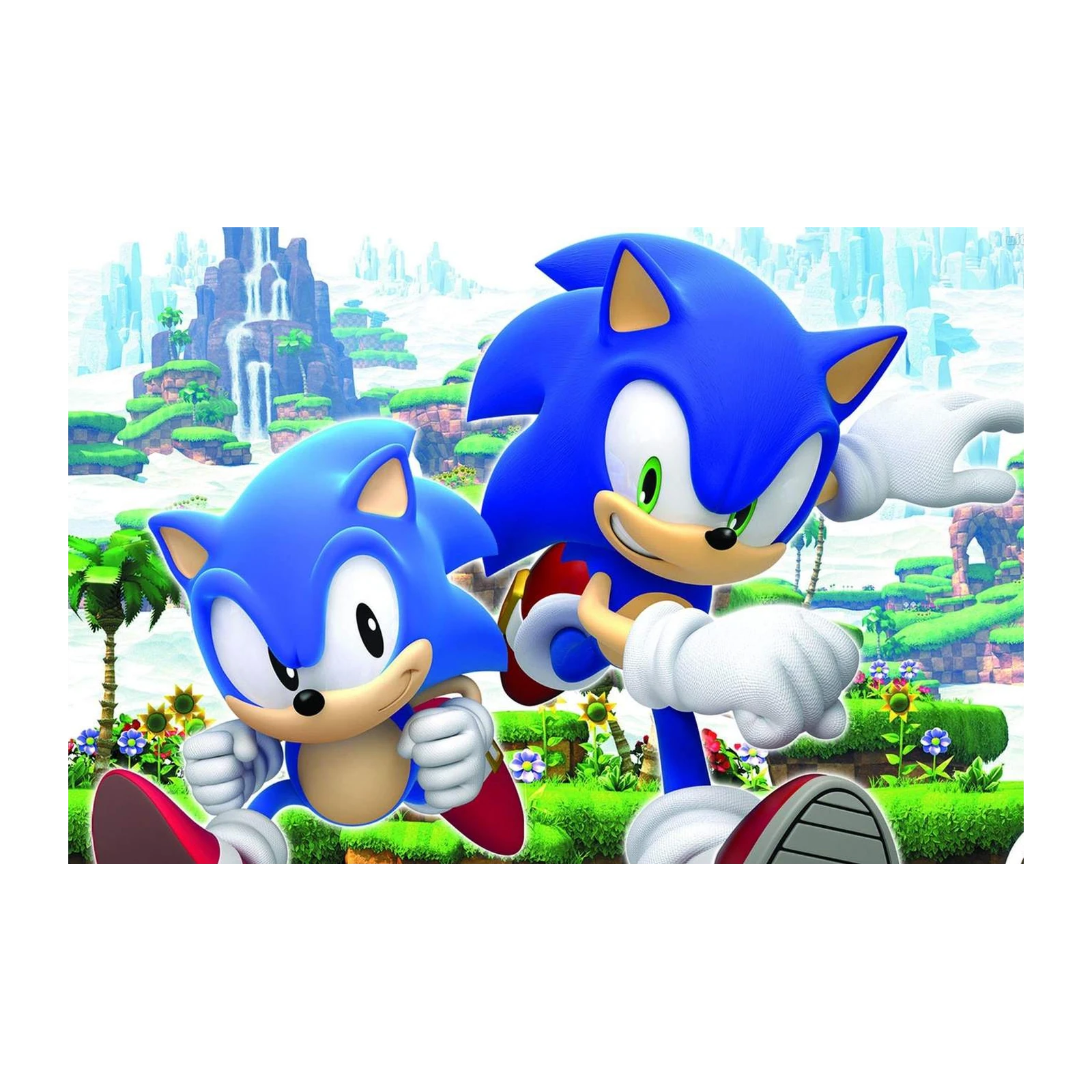Sonic the Hedgehog Duo Wall Art