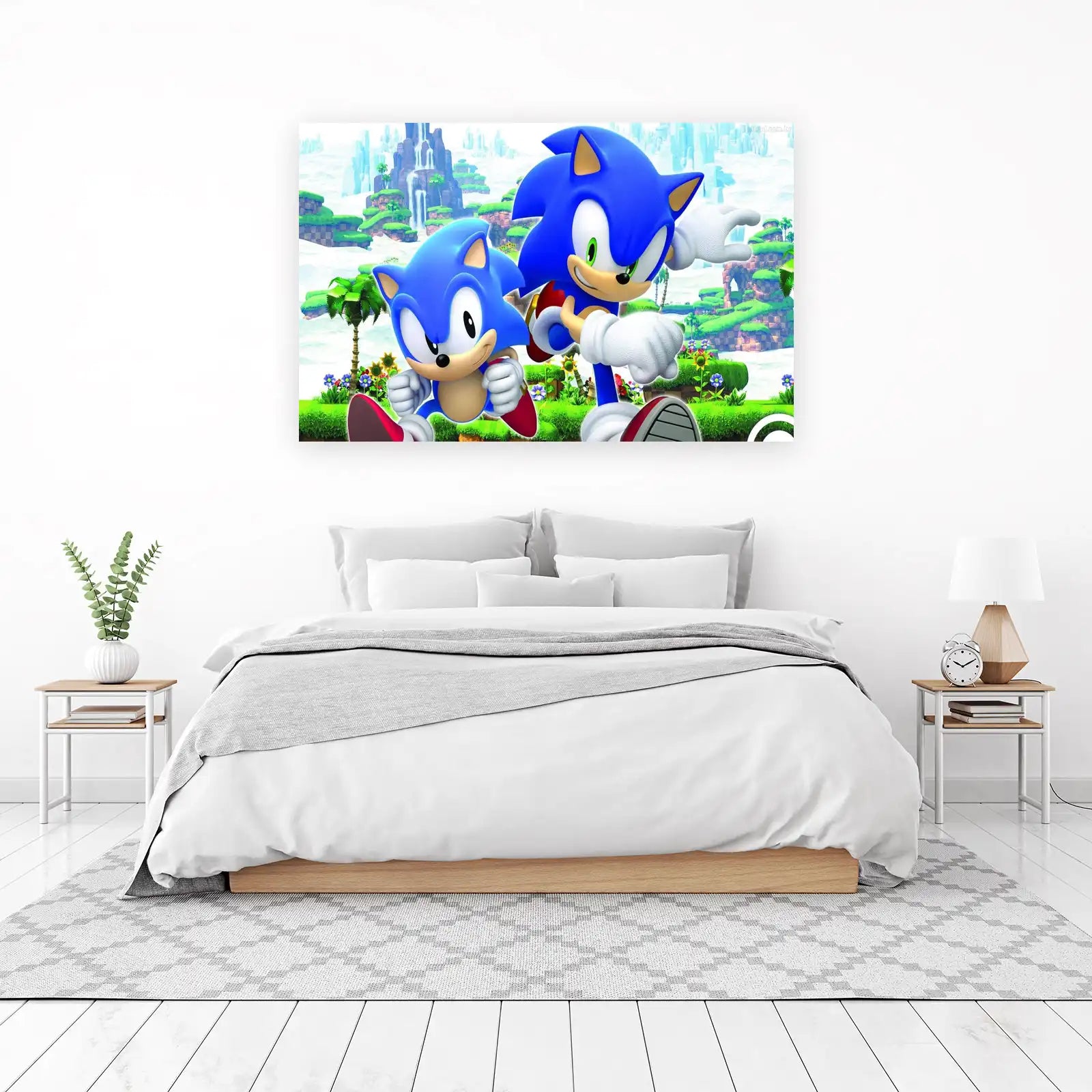 Sonic the Hedgehog Duo Wall Art
