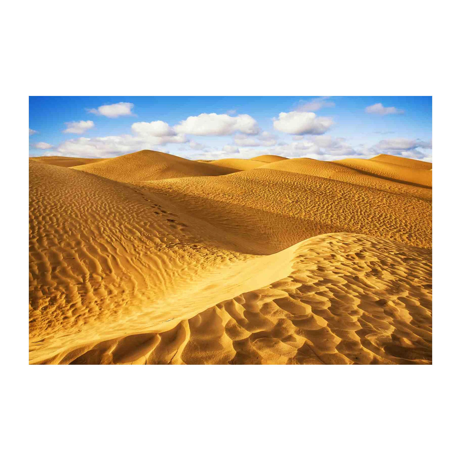 Golden Desert Dunes Landscape Wall Art