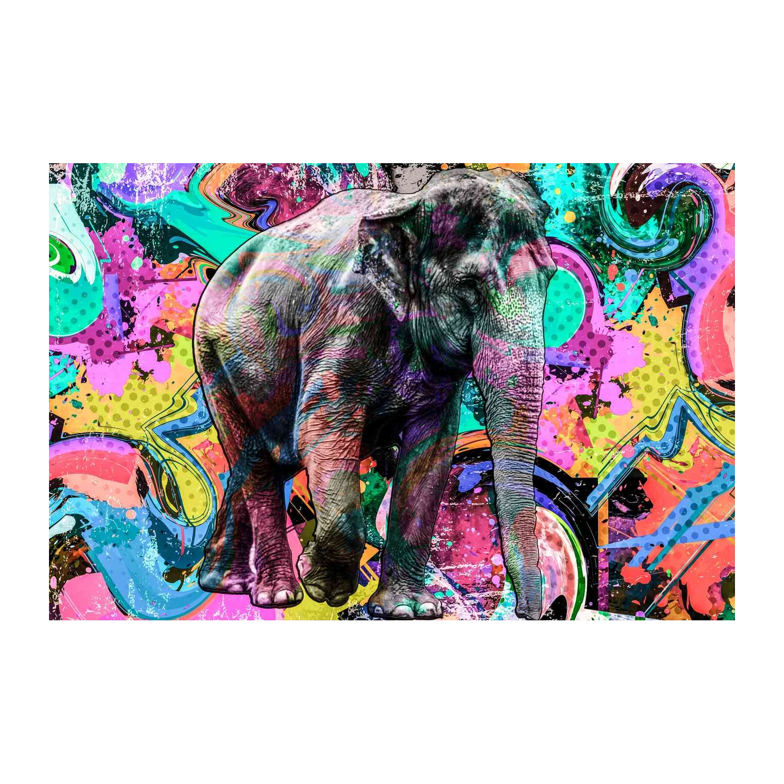 Vibrant Graffiti Elephant Wall Art Art