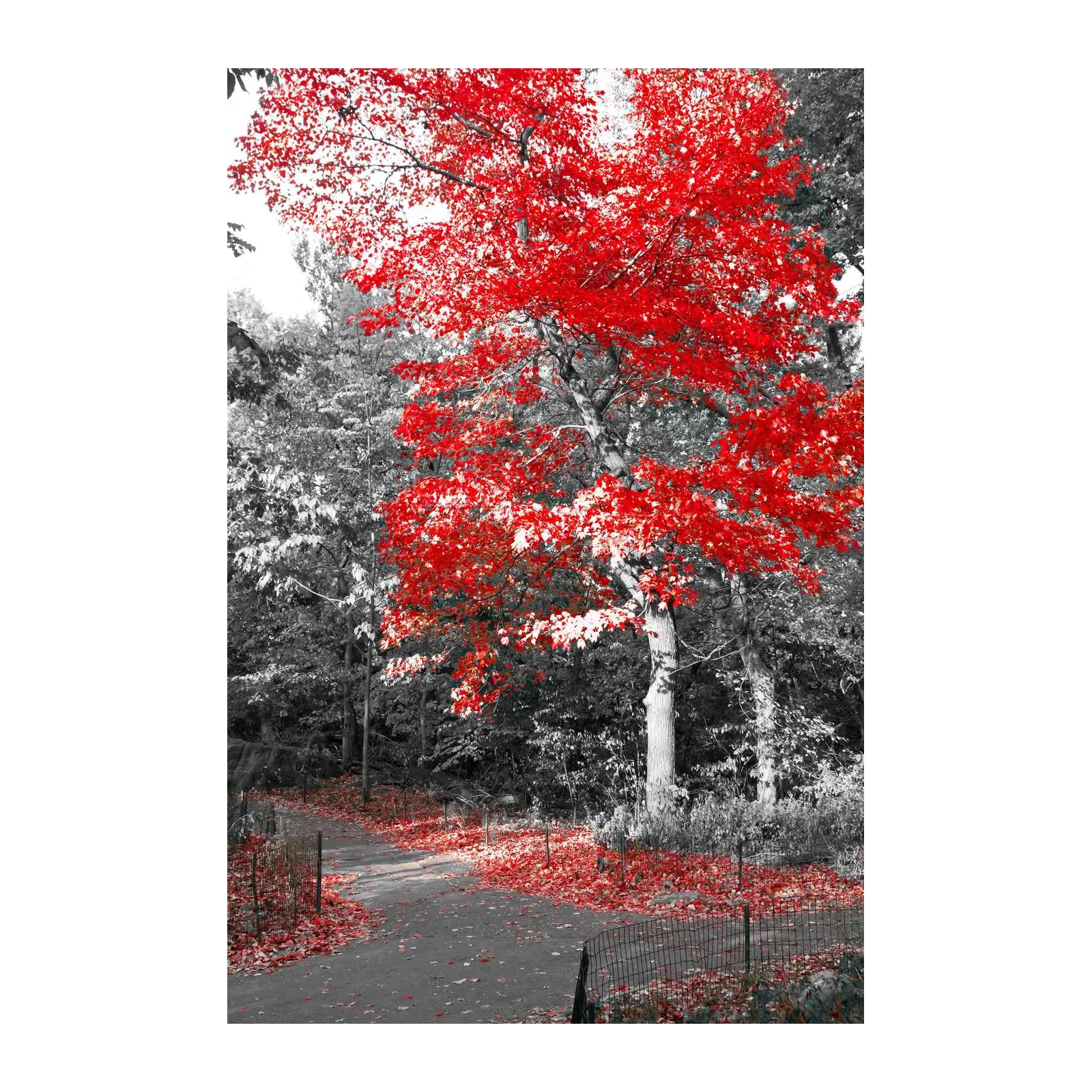 Vibrant Red Autumn Tree Wall Art