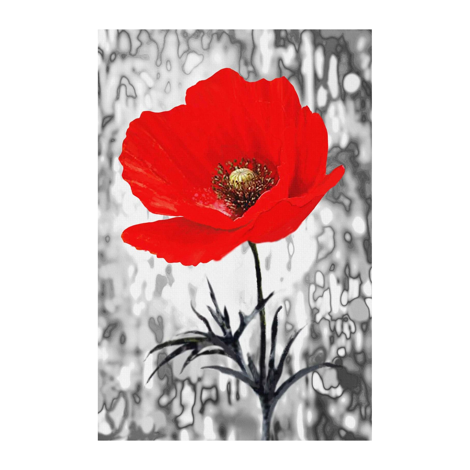 Vibrant Red Poppy Nature Wall Art