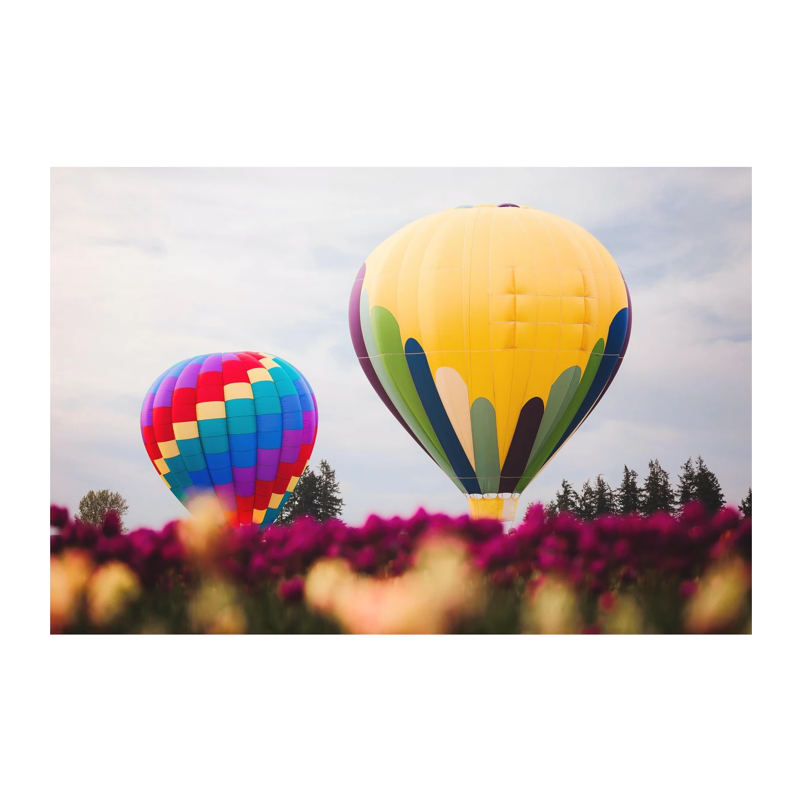 Vibrant Hot Air Balloons & Flowers Wall Art