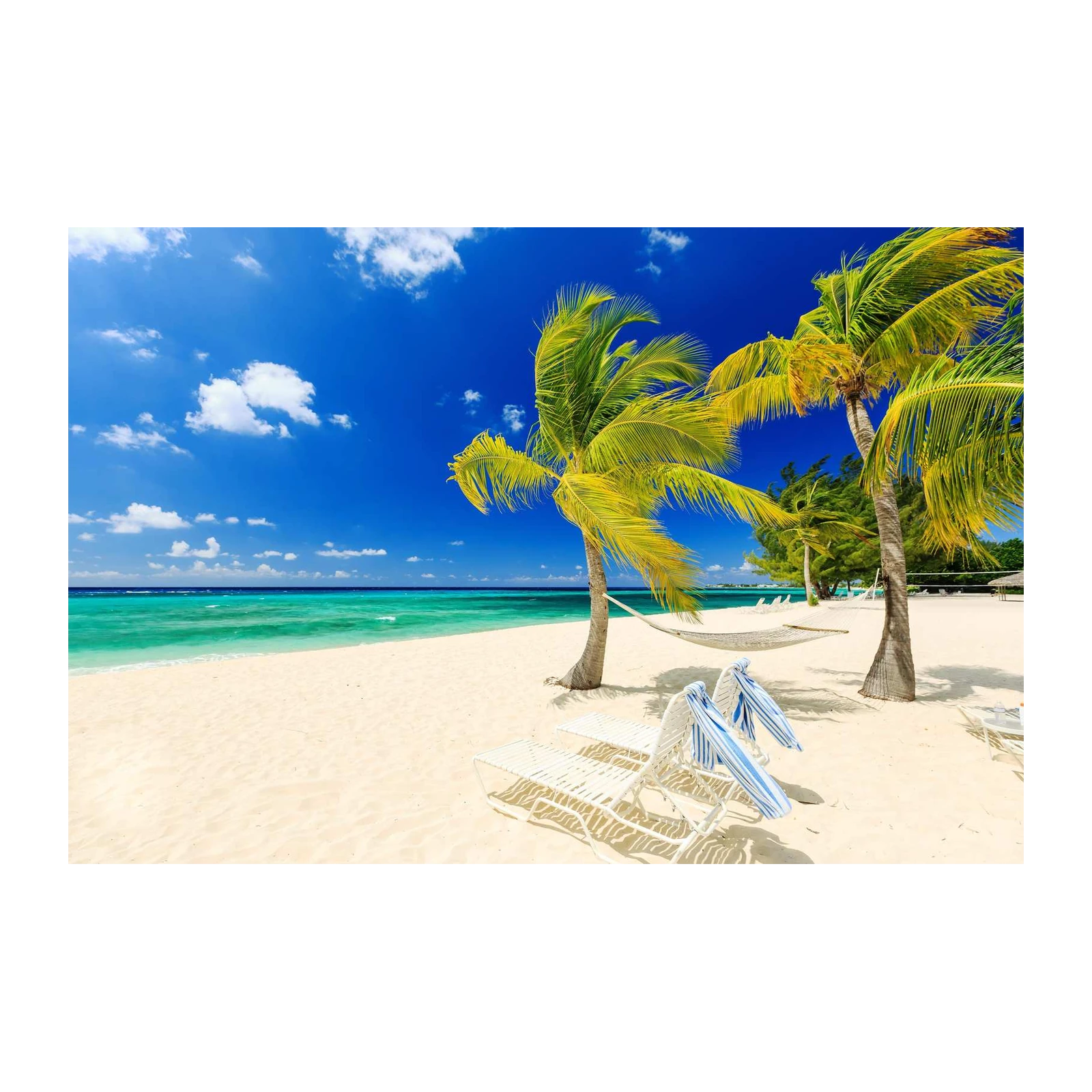 Tropical Beach Hammock & Palm Trees Wall Art