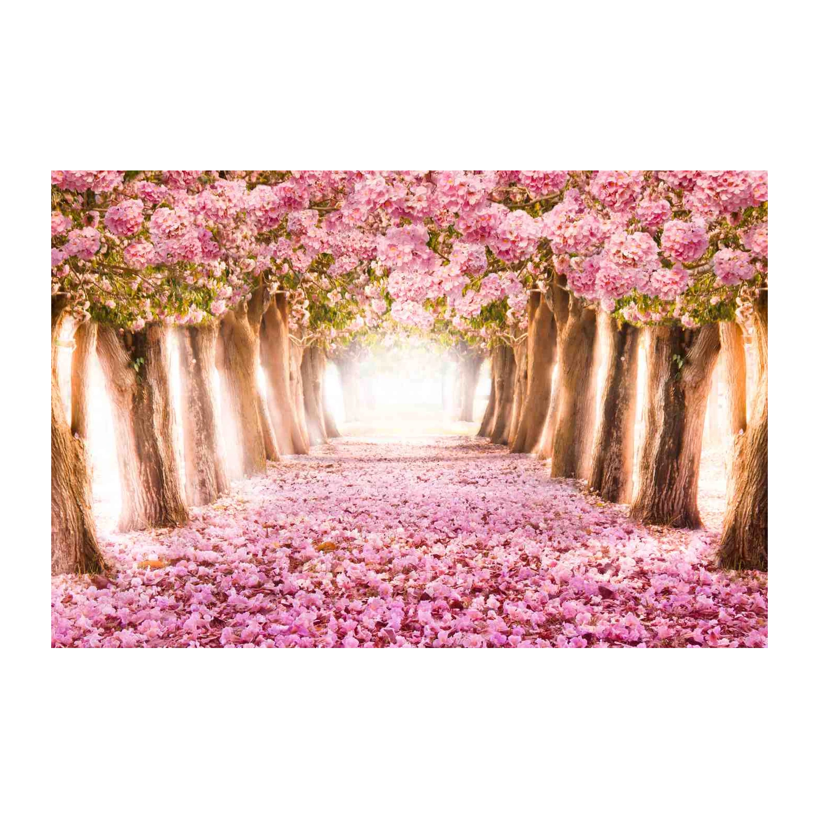 Enchanting Pink Blossom Pathway Wall Art
