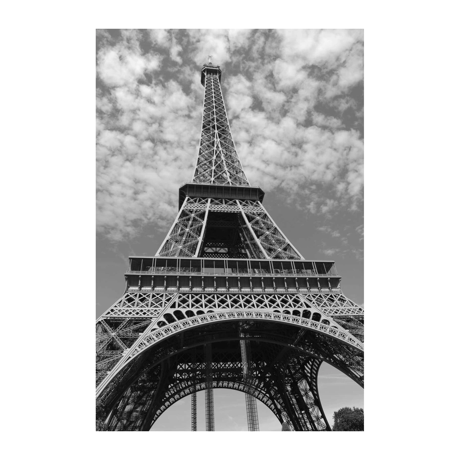 Parisian Icon Eiffel Tower Black and White Wall Art
