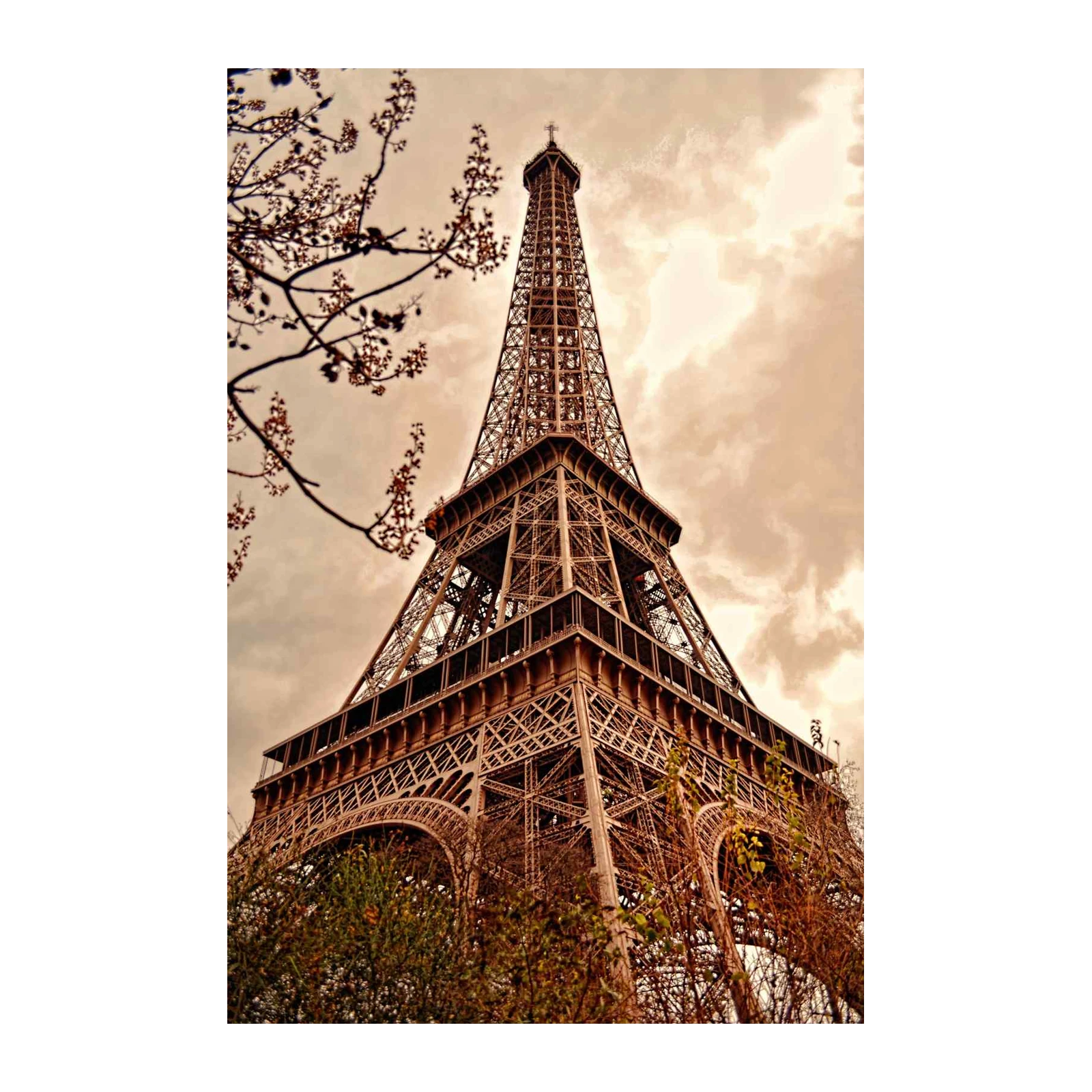 Eiffel Tower Parisian Dream Wall Art