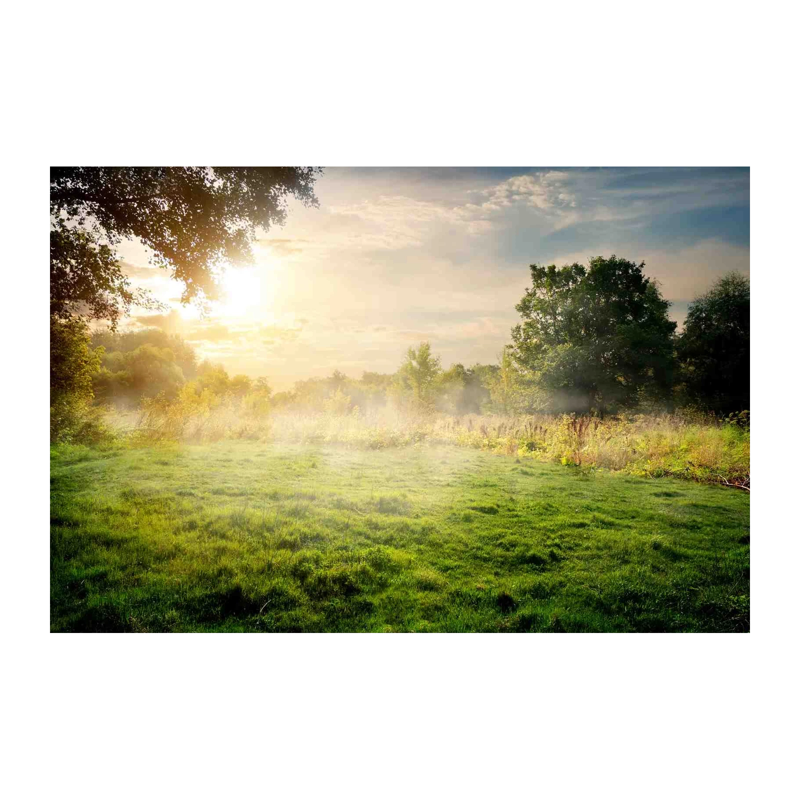Serene Meadow Sunrise Landscape Wall Art