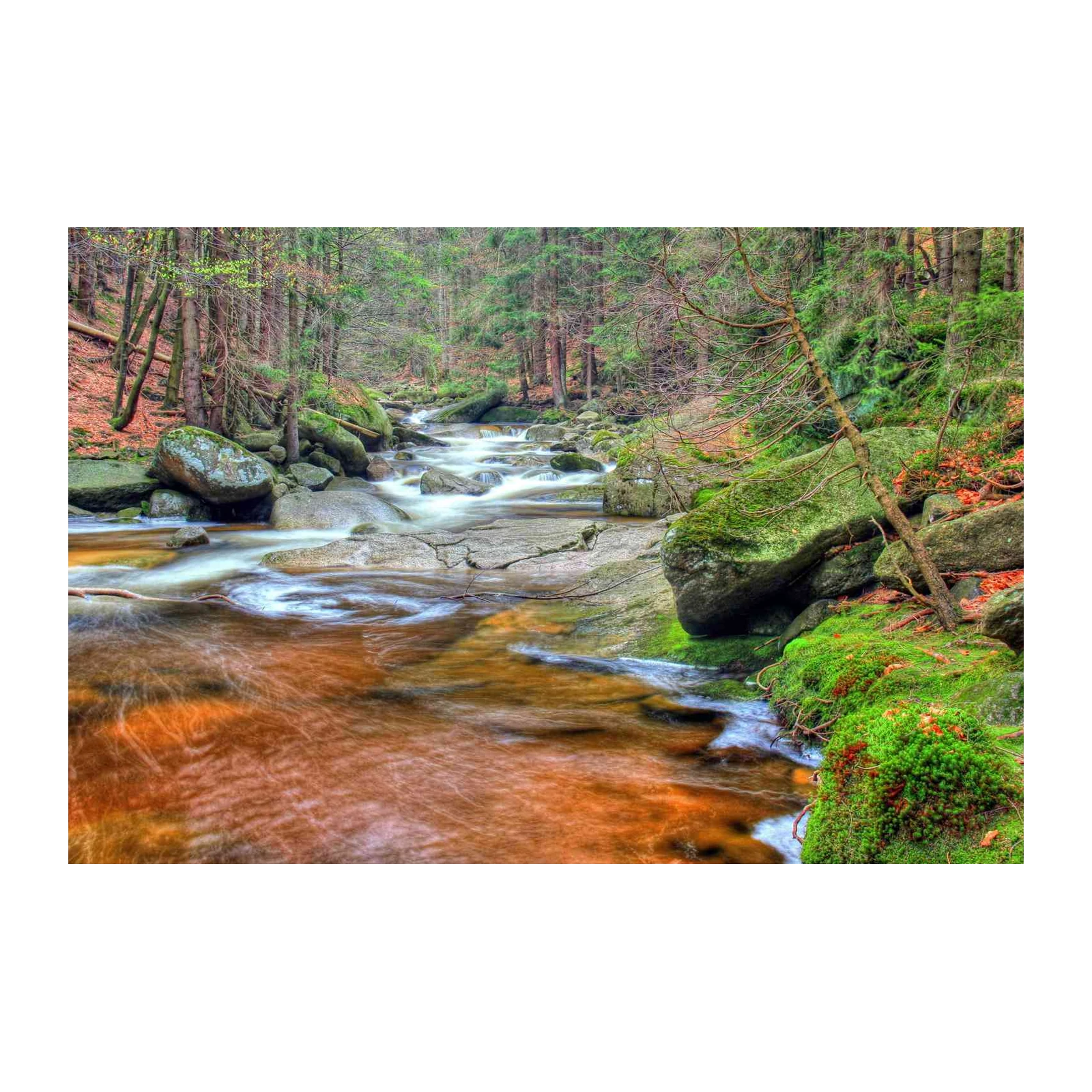 Enchanting Forest Stream Nature Wall Art