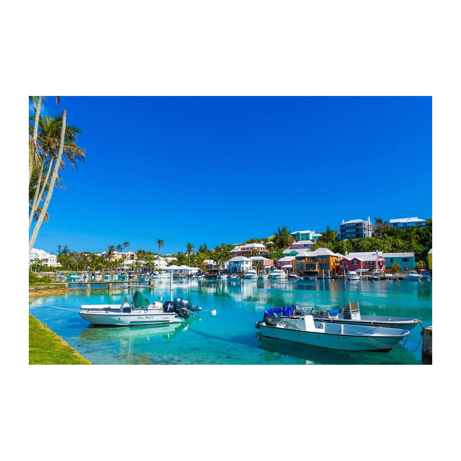 Tropical Harbor Boats & Colorful Homes Wall Art