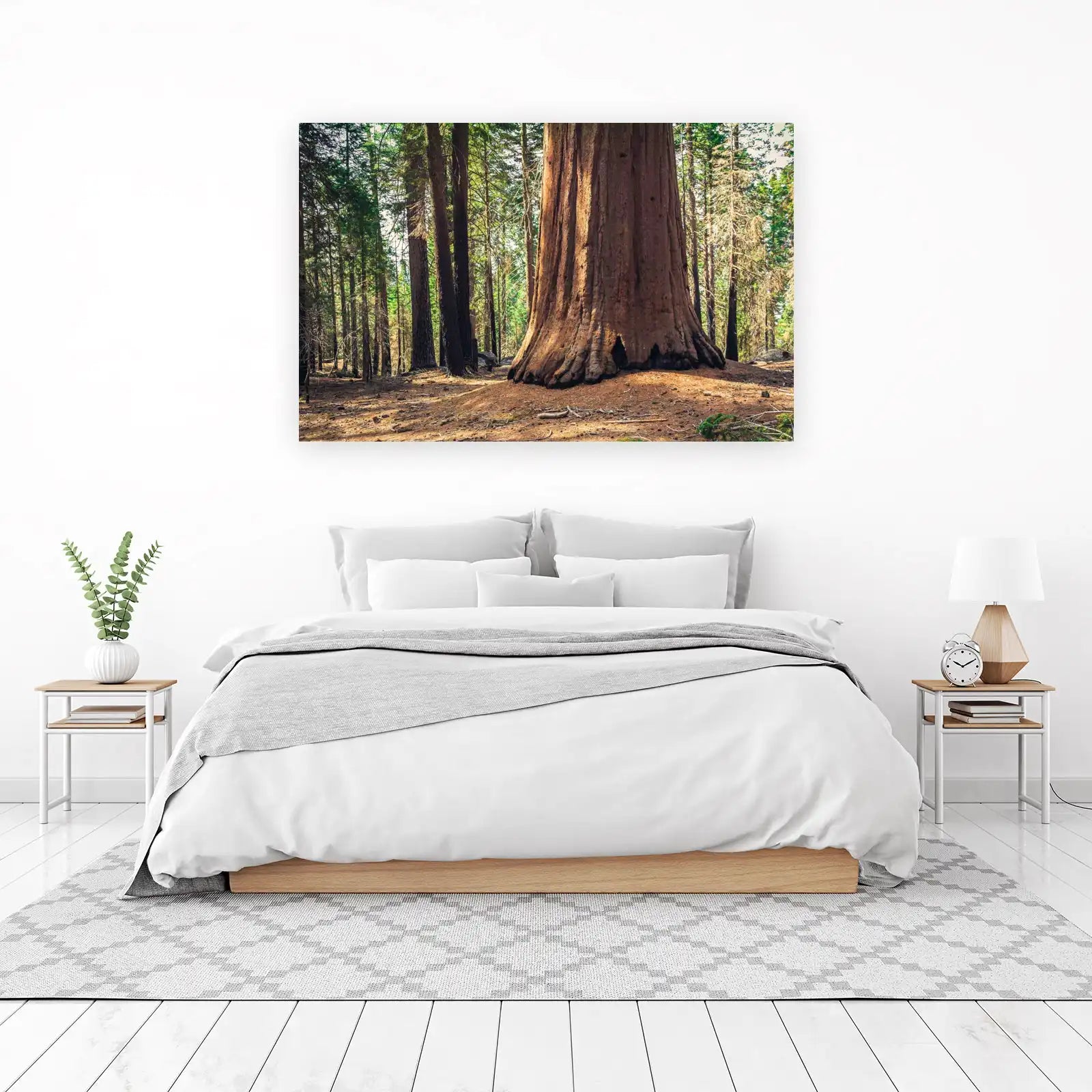 Majestic Sequoia Forest Landscape Wall Art