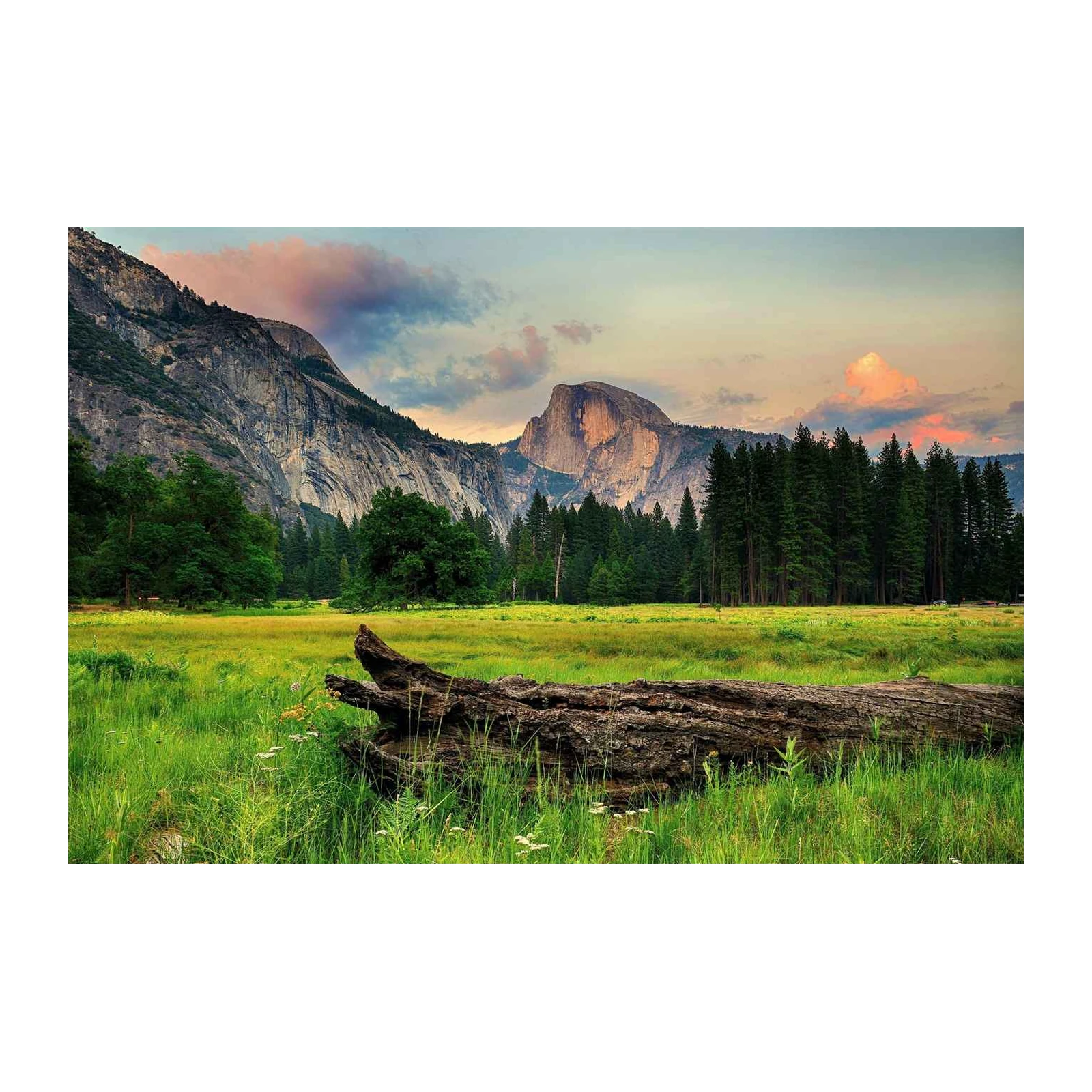 Yosemite Half Dome Landscape Wall Art
