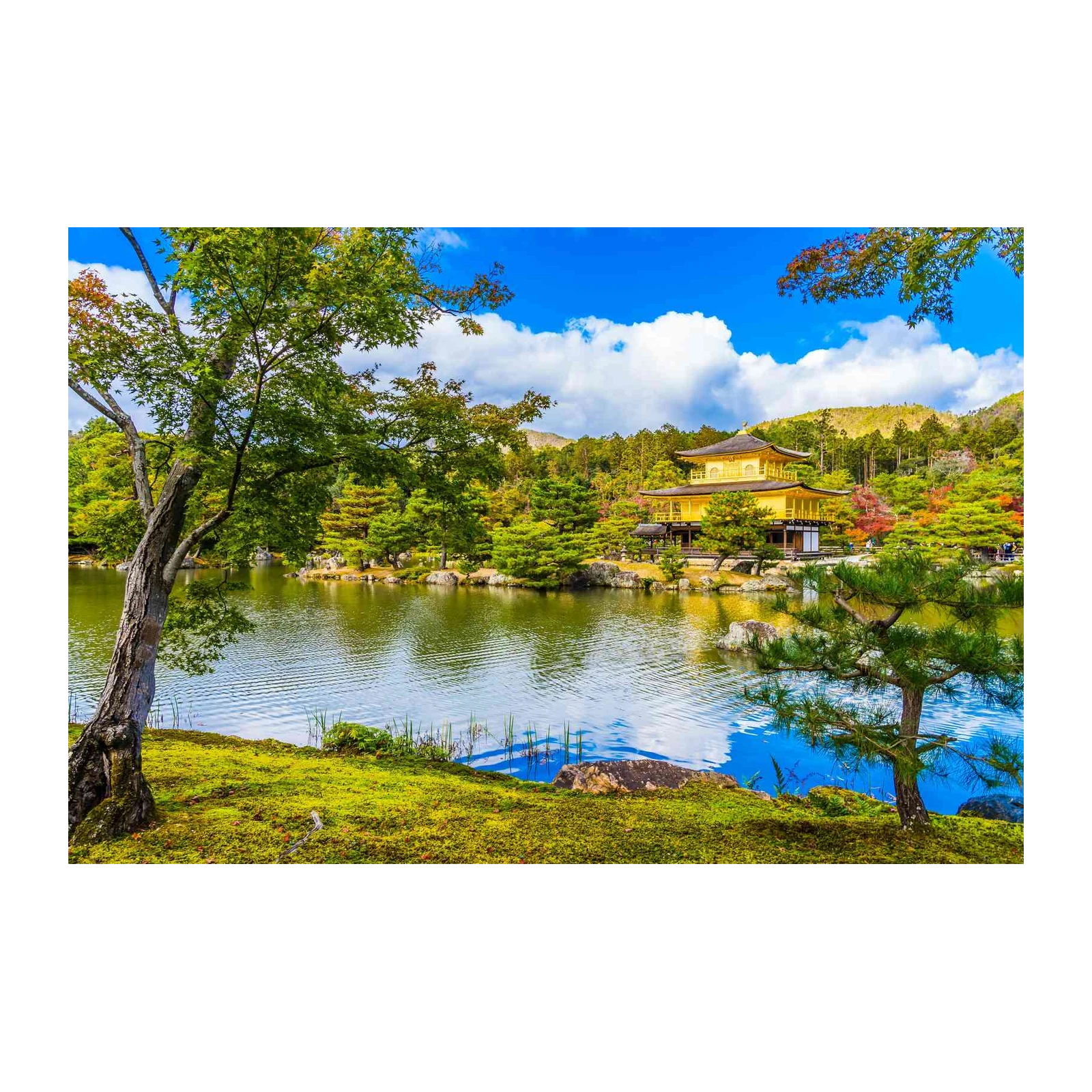 Golden Temple Serenity Kyoto Wall Art