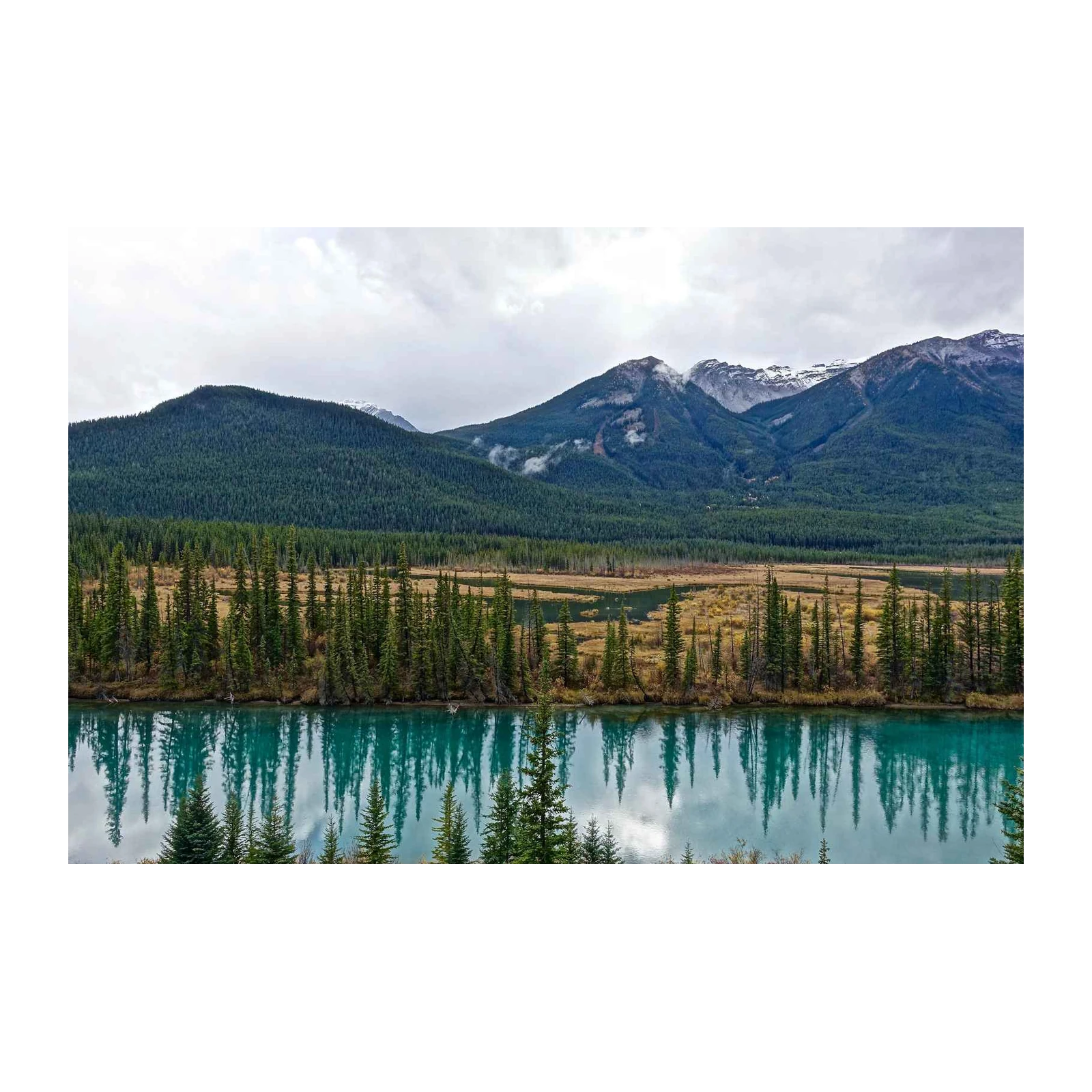 Tranquil Mountain Lake Forest Wall Art